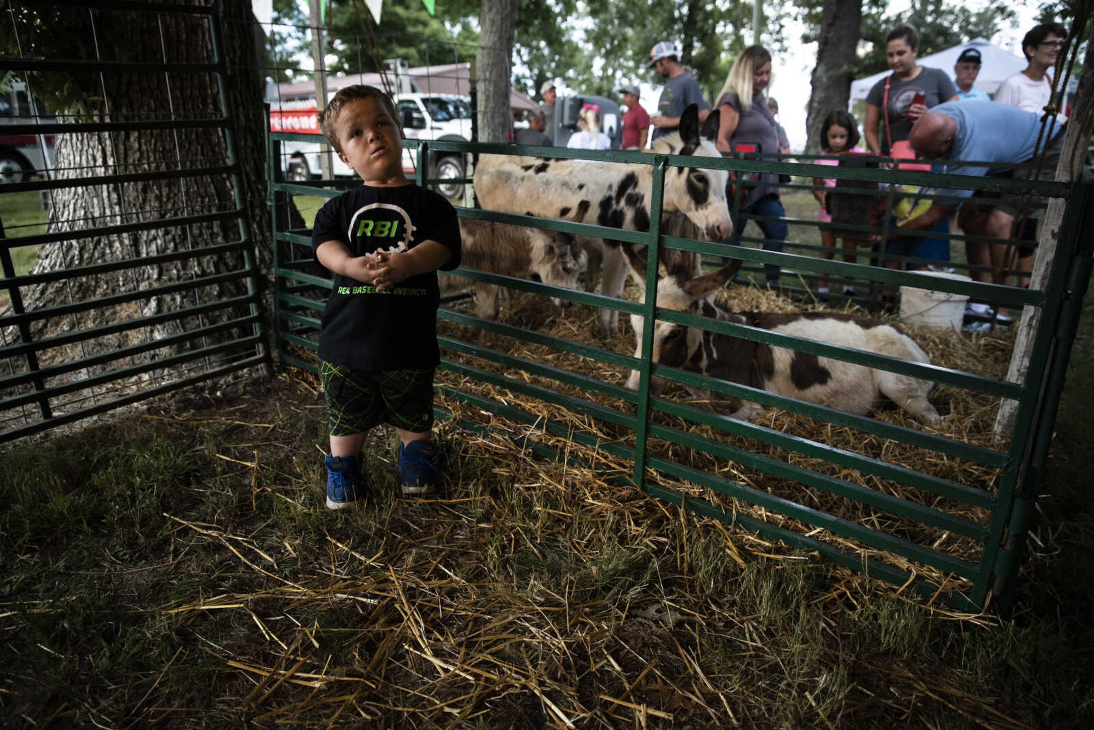 Izaac Pursley stands next to a pen of goats while visiting the East Perry Community Fair Sept. 21, 2018, in Altenburg.