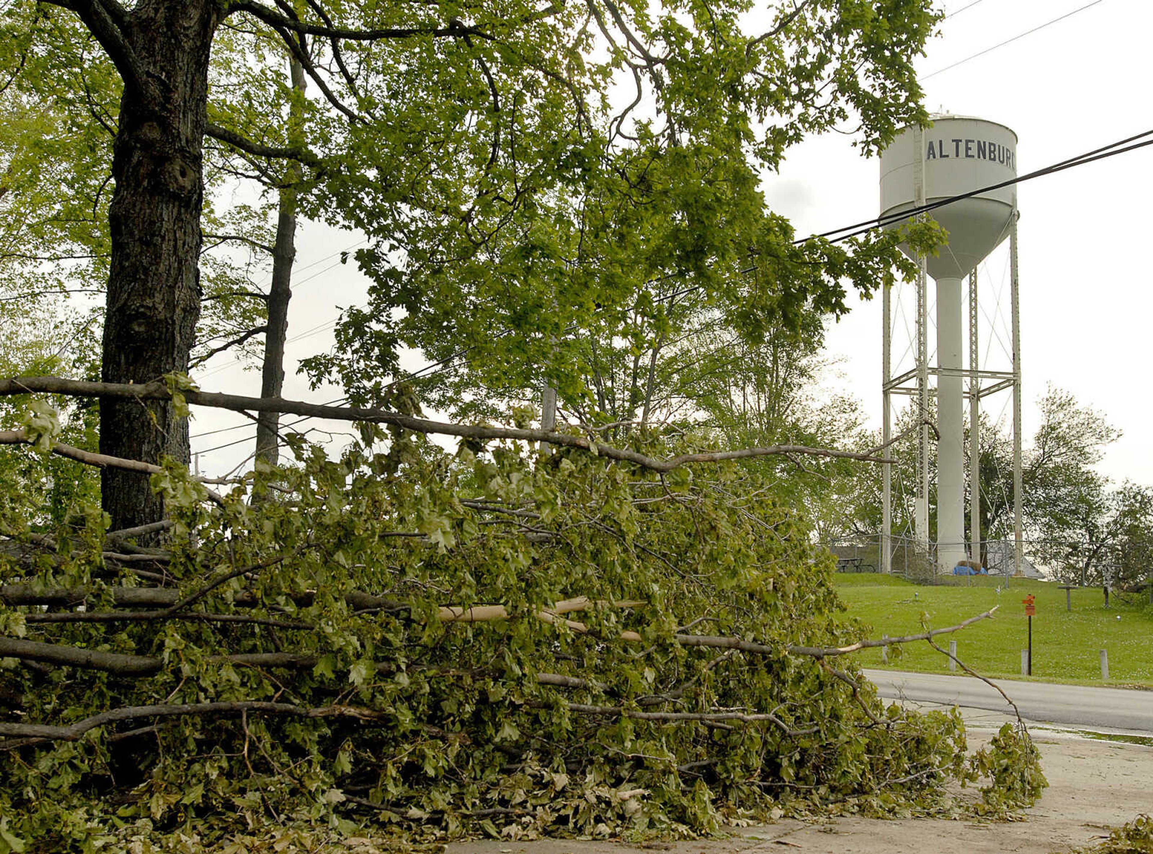 ELIZABETH DODD ~ edodd@semissourian.com
Piles of tree limbs line the sidewalk on Church Street in Altenburg.