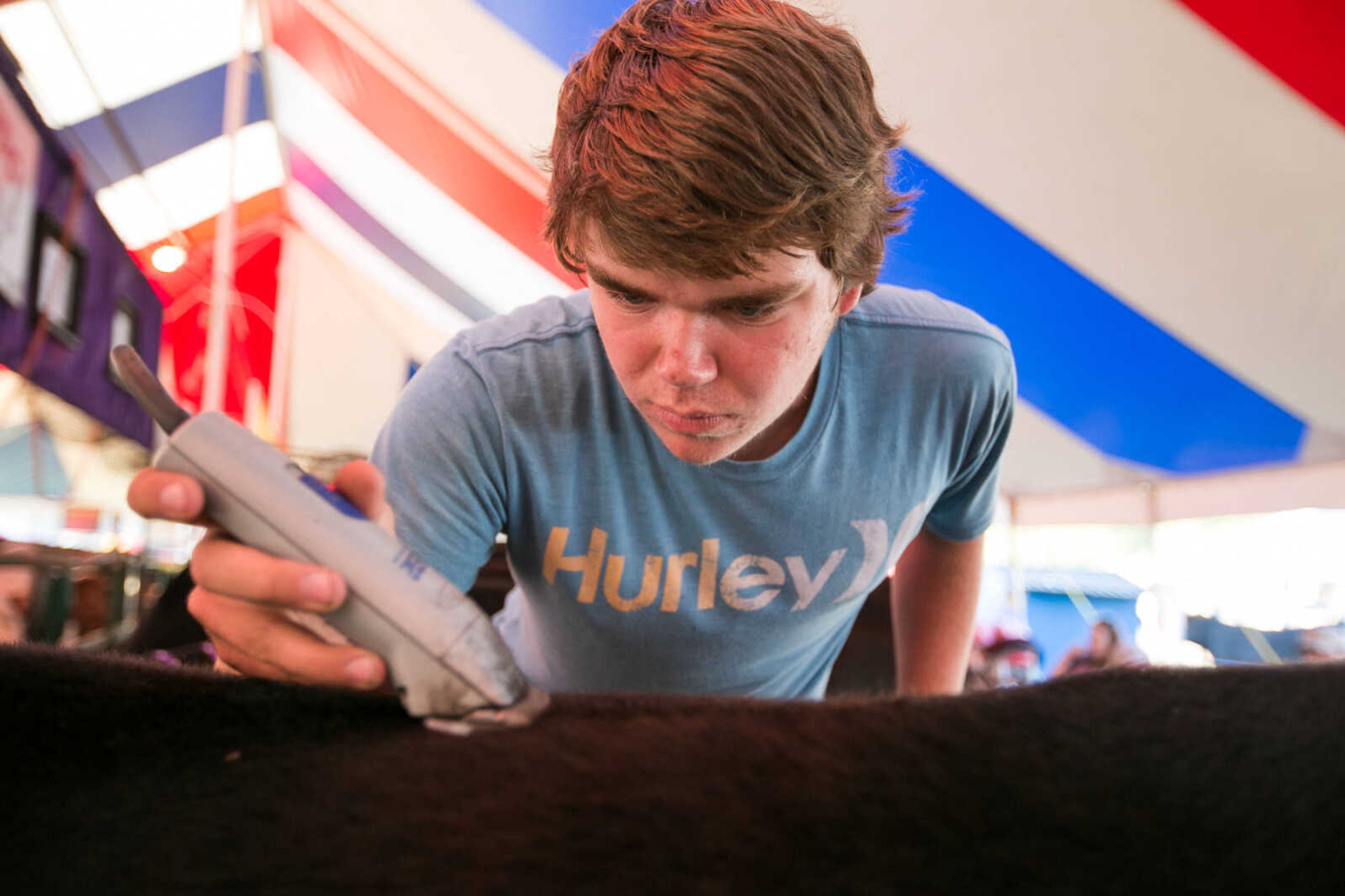 GLENN LANDBERG ~ glandberg@semissourian.com


Kyle Lappe readies his Simmental for showing during the SEMO District Fair Wednesday, Sept. 16, 2015, in Cape Girardeau.