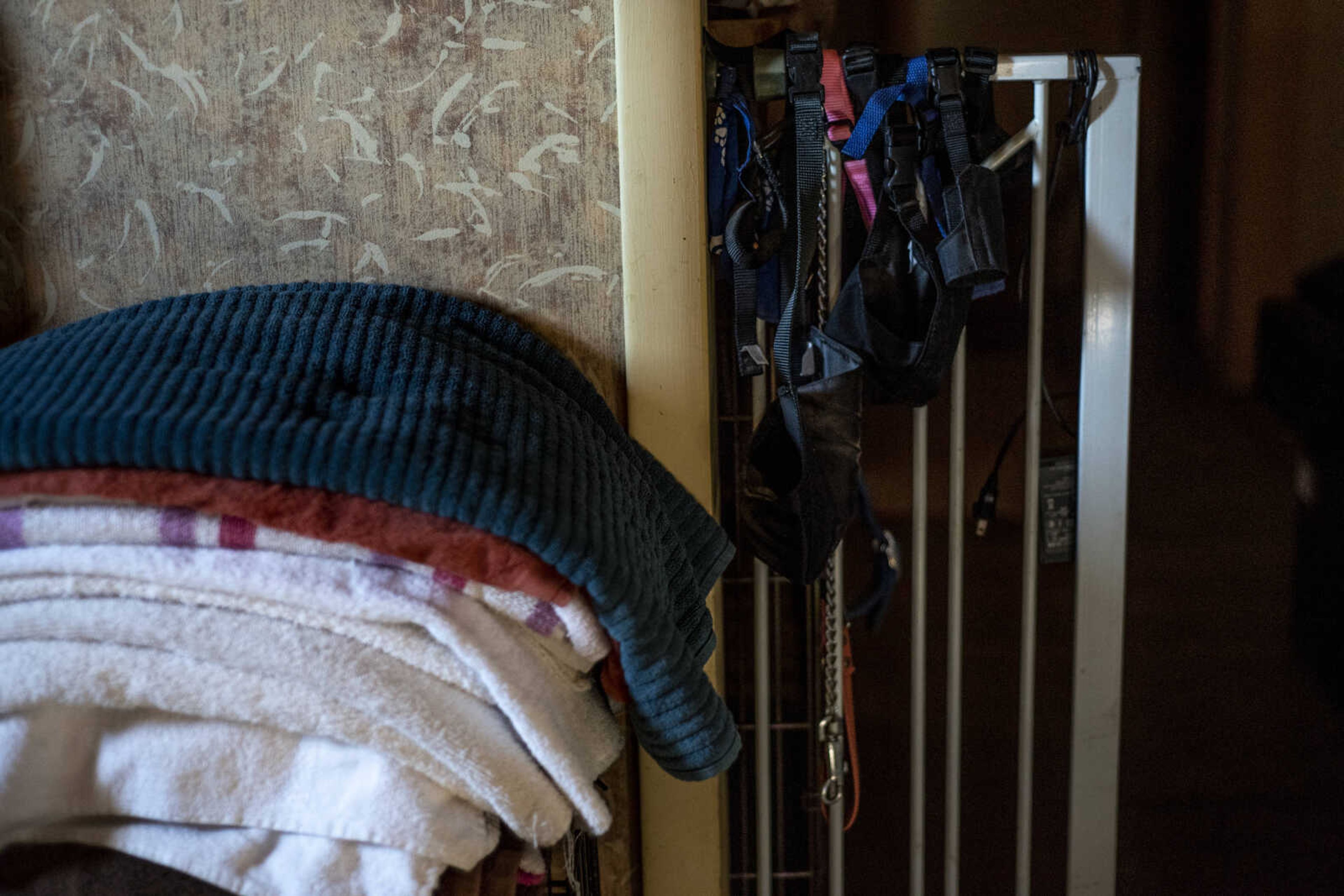 Linens and leashes are seen stacked up next to the front door of the home of Marilyn and Michael Neville of the Bollinger County Stray Project Wednesday, Jan. 9, 2019, in Zalma.