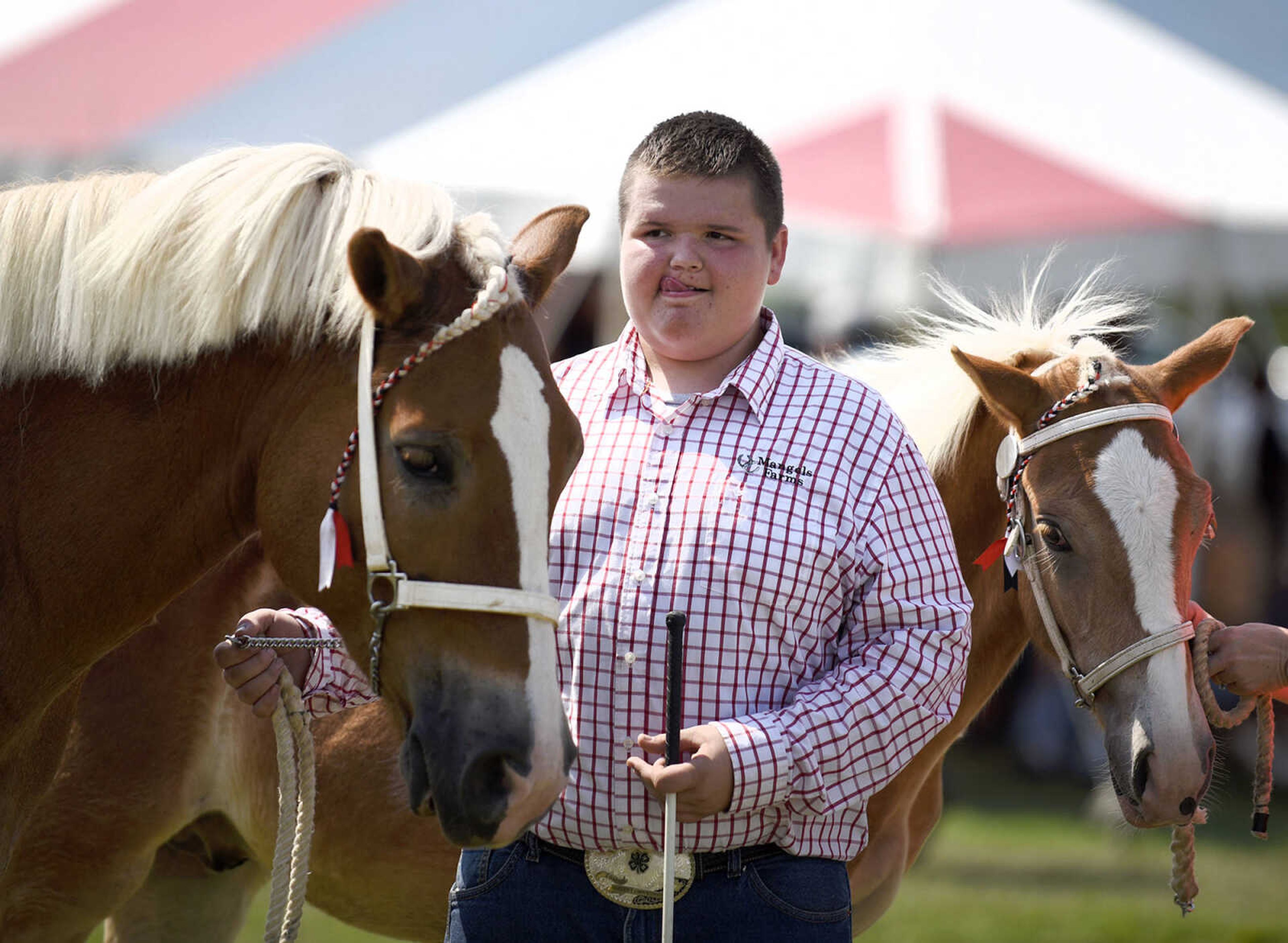 LAURA SIMON ~ lsimon@semissourian.com

Trenton Beard shows a draft pony during the SEMO District Fair on Friday, Sept. 16, 2016, at Arena Park in Cape Girardeau.