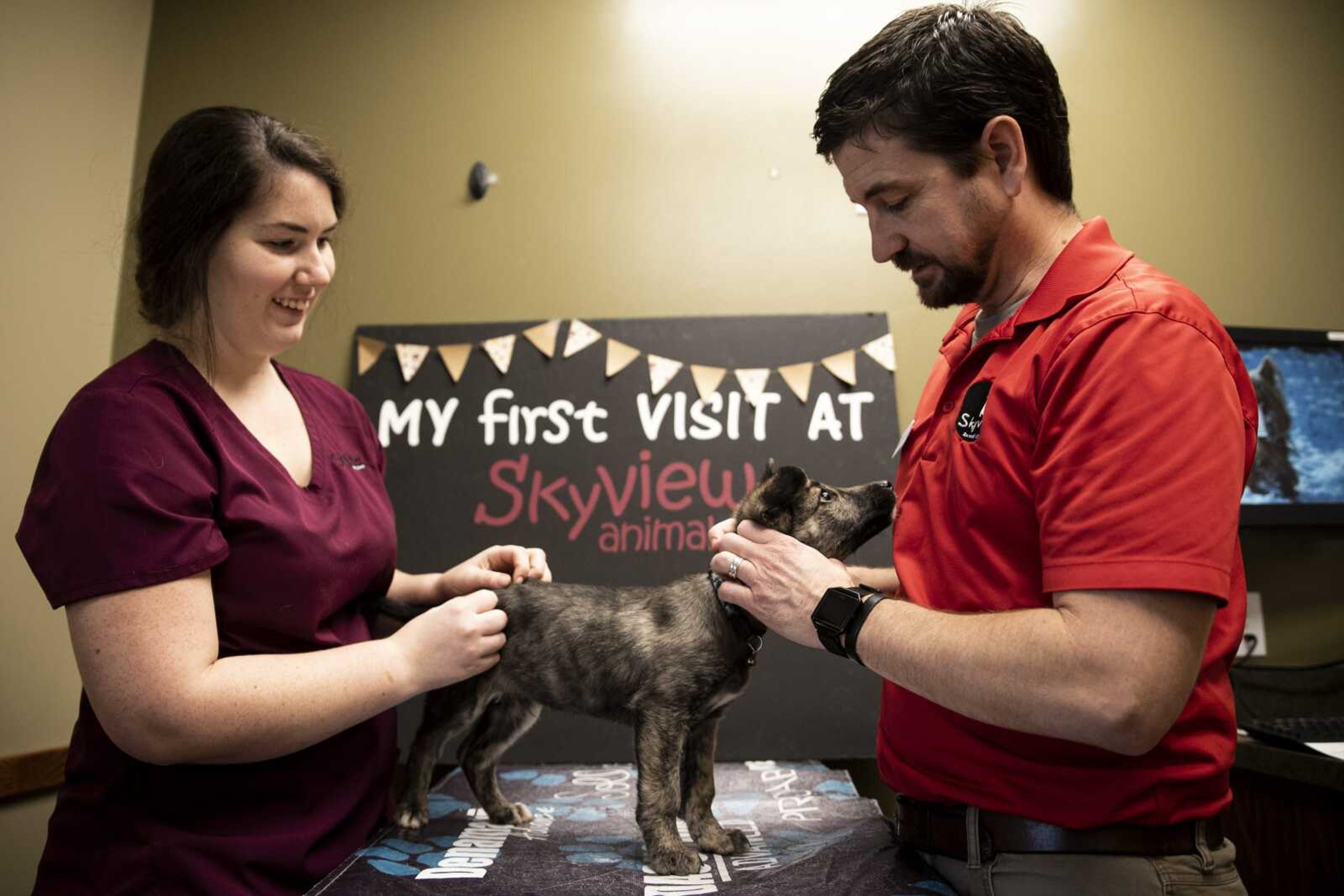 Dr. Sean Byrd, right, performs a routine puppy exam on 11-week-old Clegane, with the assistance of Callie Lashley at Skyview Animal Clinic Jan. 17 in Cape Girardeau.