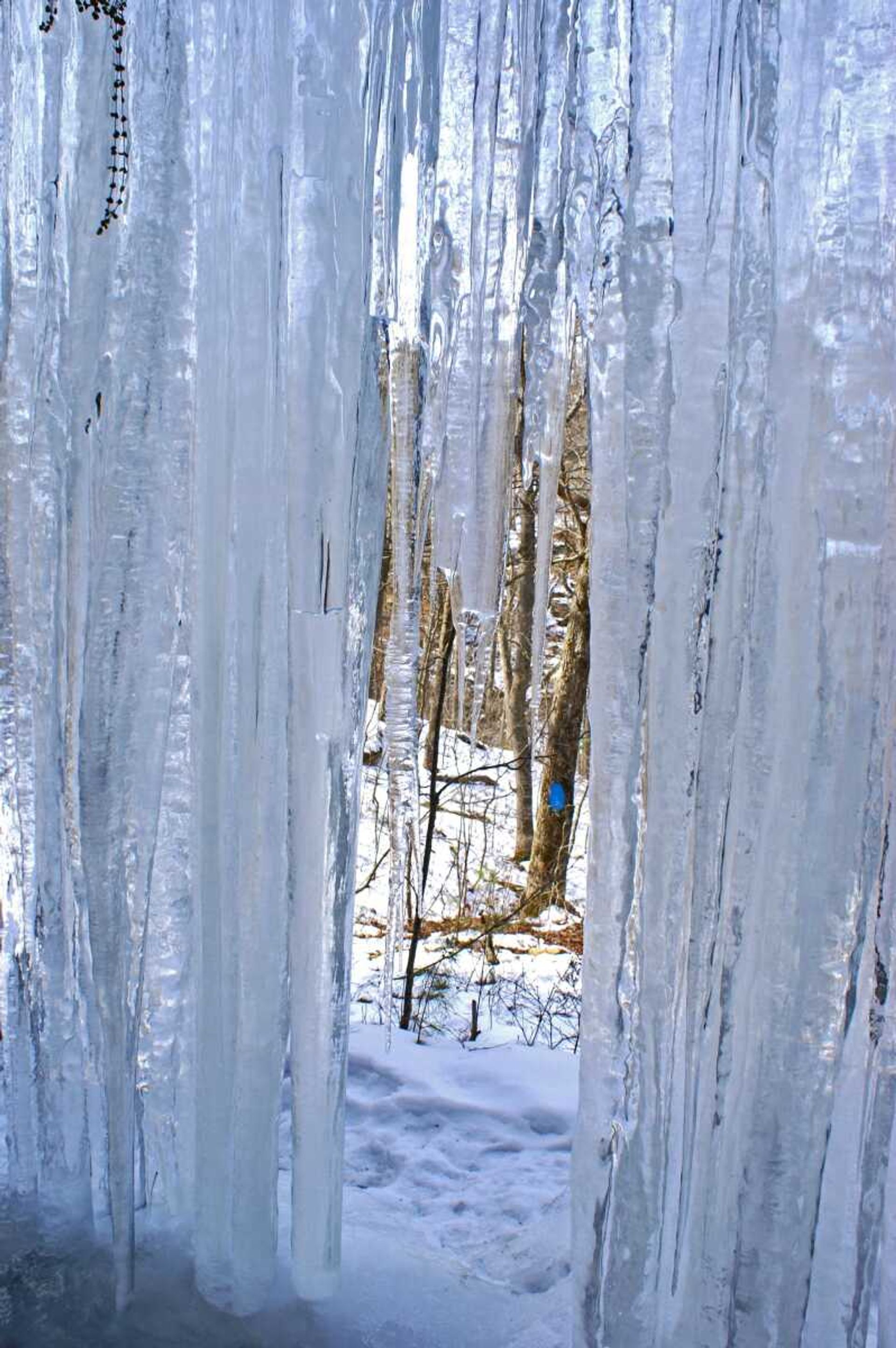 "Behind the Ice Curtain", the first photo Spell won an international award with back in 2011.