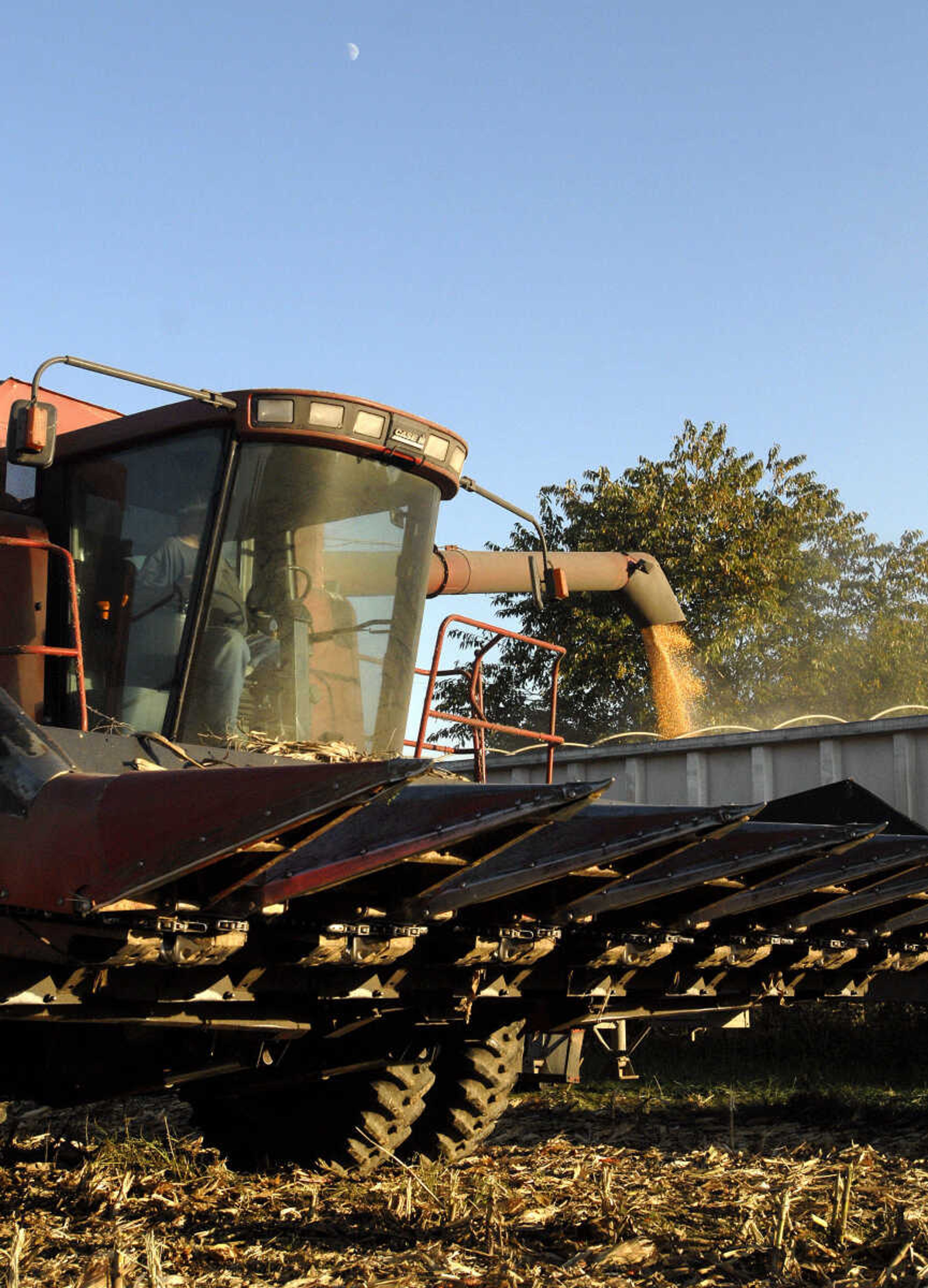 LAURA SIMON ~ lsimon@semissourian.com
Frank Milde of Milde Farms Inc. empties his combine full of corn Tuesday, October 4, 2011 near Jackson, Mo.