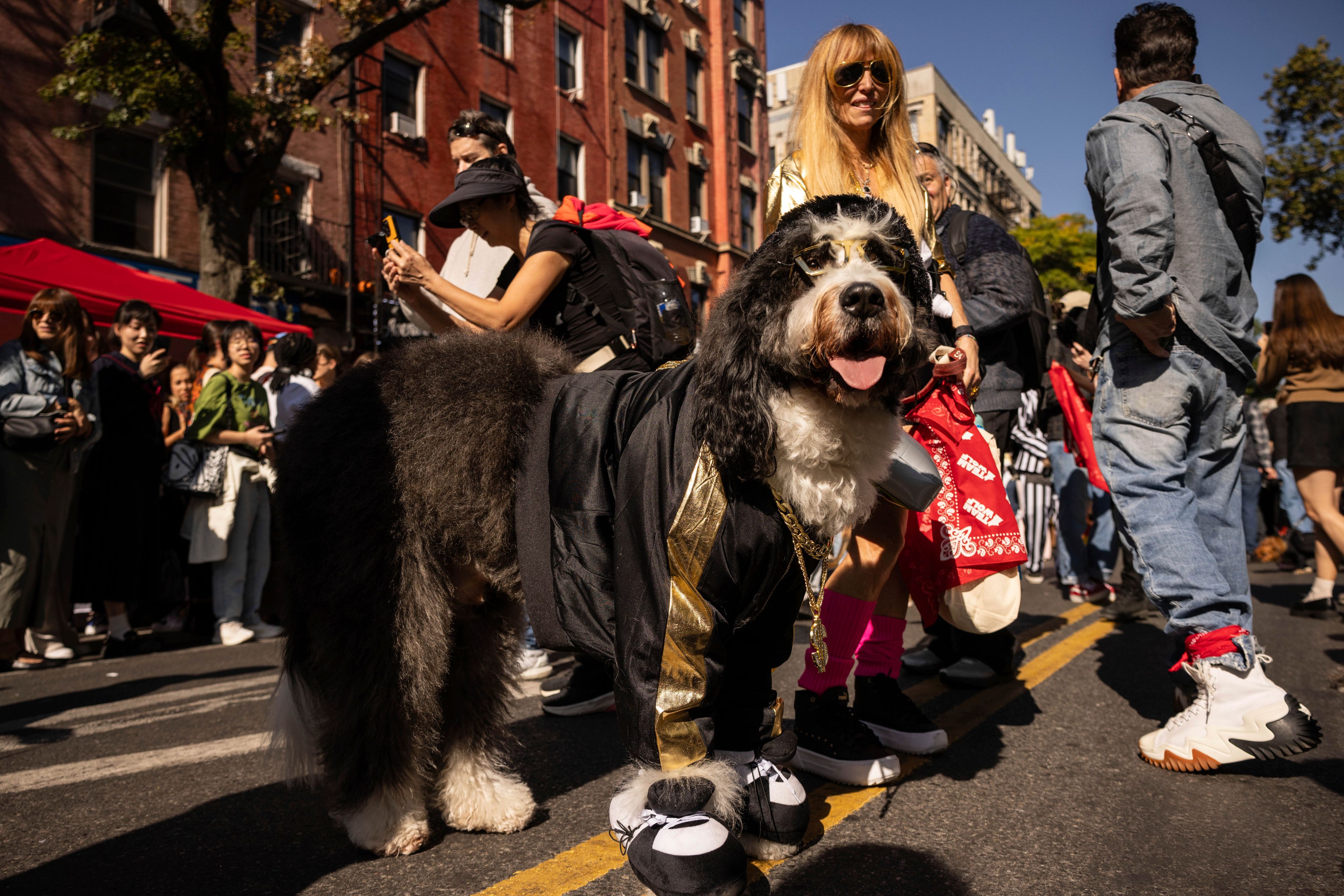 People and their dogs in costume participate in the 34th annual Tompkins Square Halloween Dog Parade, Saturday, Oct. 19, 2024, in New York. (AP Photo/Yuki Iwamura)