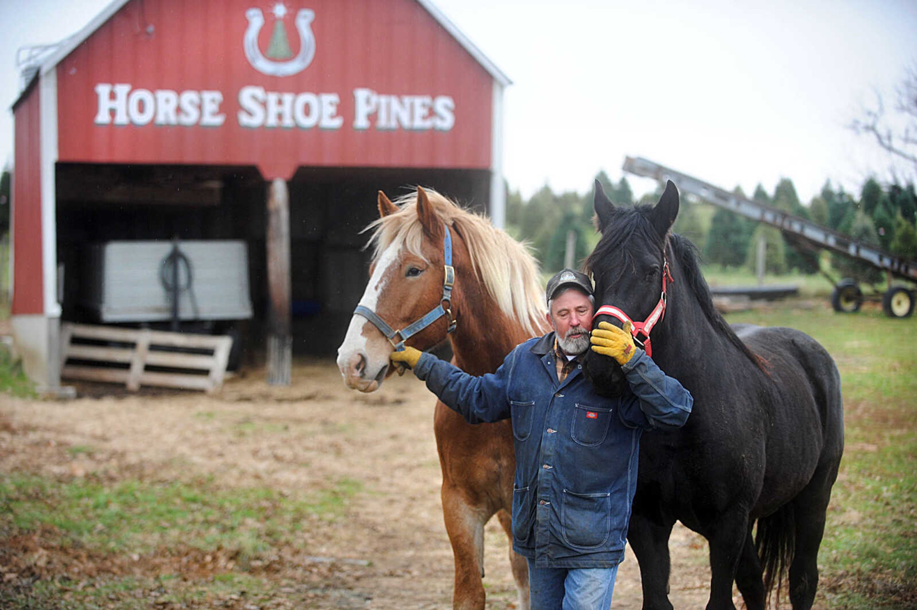 LAURA SIMON ~ lsimon@semissourian.com

Steve Meier walks his horses, Vince, left, and Betty, Wednesday, Nov. 26, 2014, at Meier Horse Shoe Pines in Jackson.