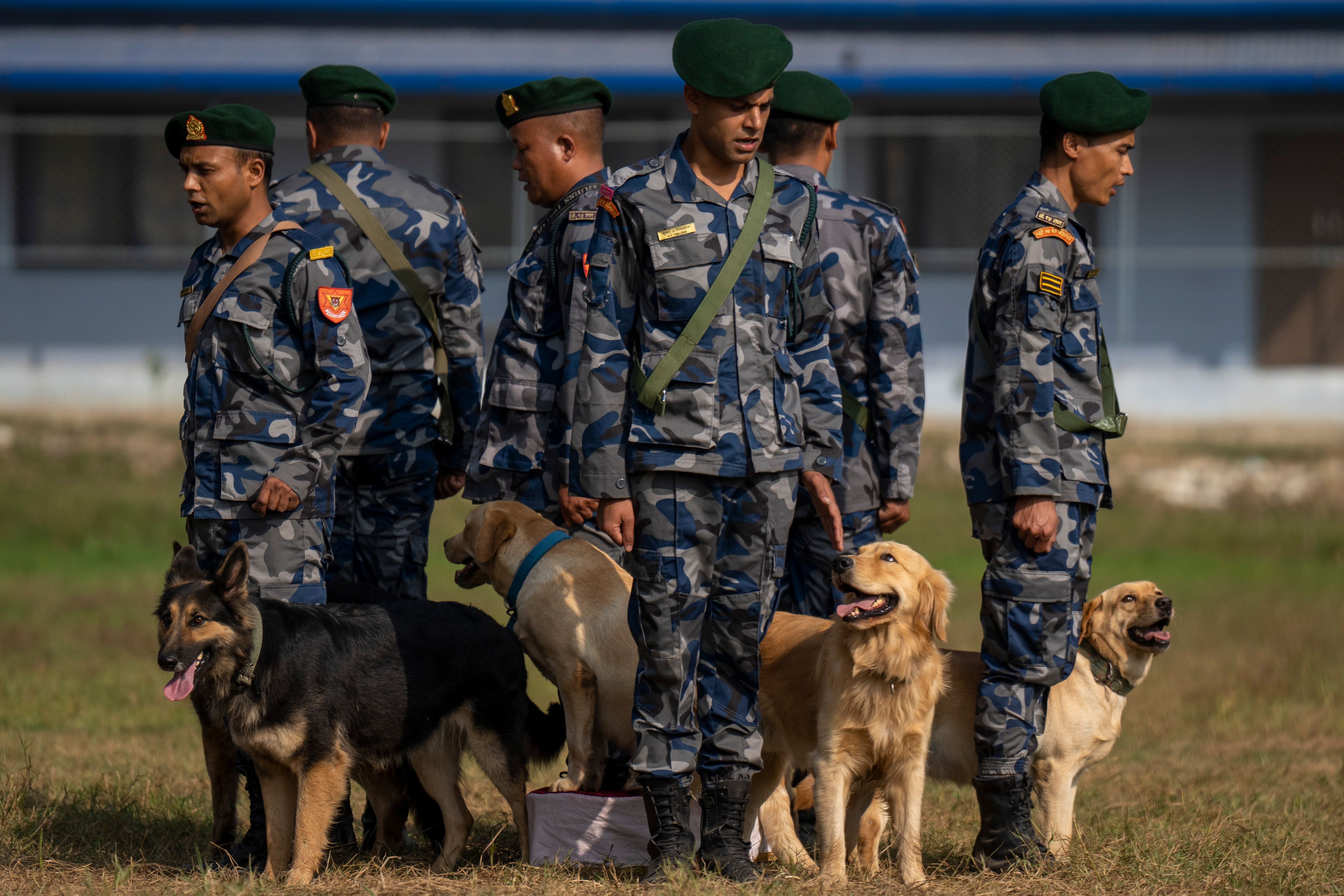 Nepal's Armed Police Force get ready with their dog to displays skills at their kennel division during Kukkur Tihar festival in Kathmandu, Nepal, Thursday, Oct. 31, 2024. Every year, dogs are worshiped to acknowledge their role in providing security during the second day of five days long Hindu festival Tihar. (AP Photo/Niranjan Shrestha)