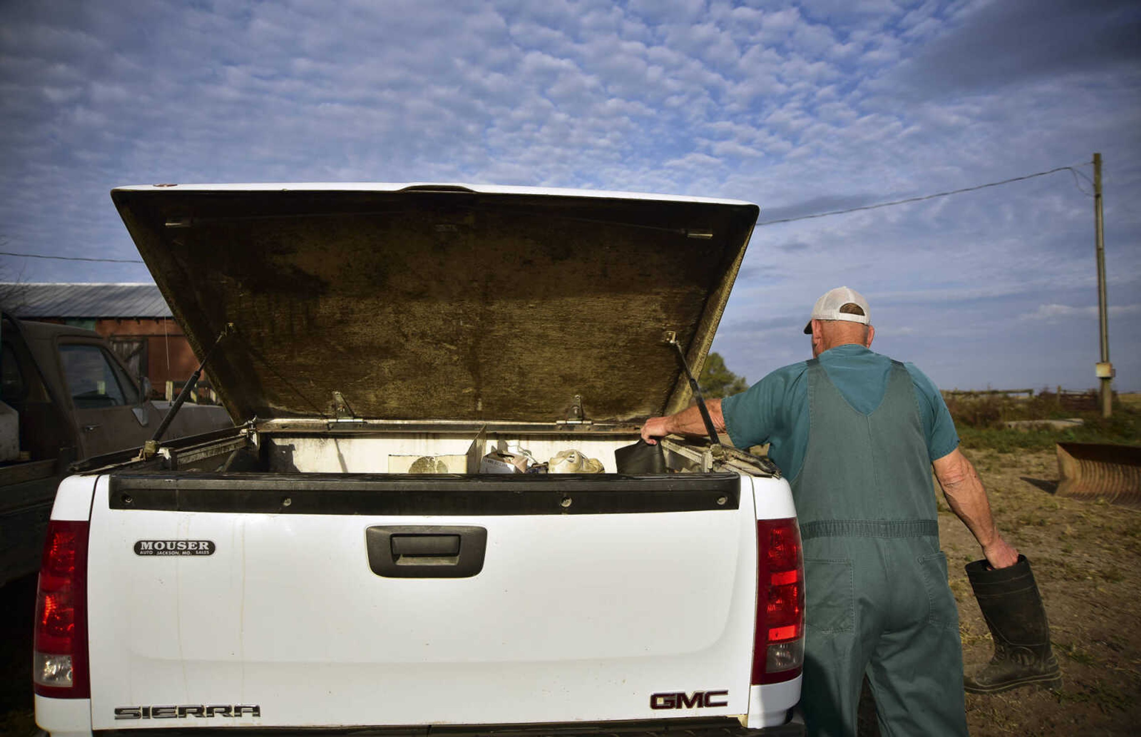 ANDREW J. WHITAKER ~ awhitaker@semissourian.com
Dr. Walter Branscum DVM, 68, reaches in his truck for boots before he takes a blood sample to test for Brucellosis a bacterial infection that can be spread from animas to humans Wednesday, Nov. 2, 2016 at Butch's Angus farm in Jackson. Dr. Branscum a Veterinary physician in Jackson cares for smaller animals along with larger animals like cattle and horses.