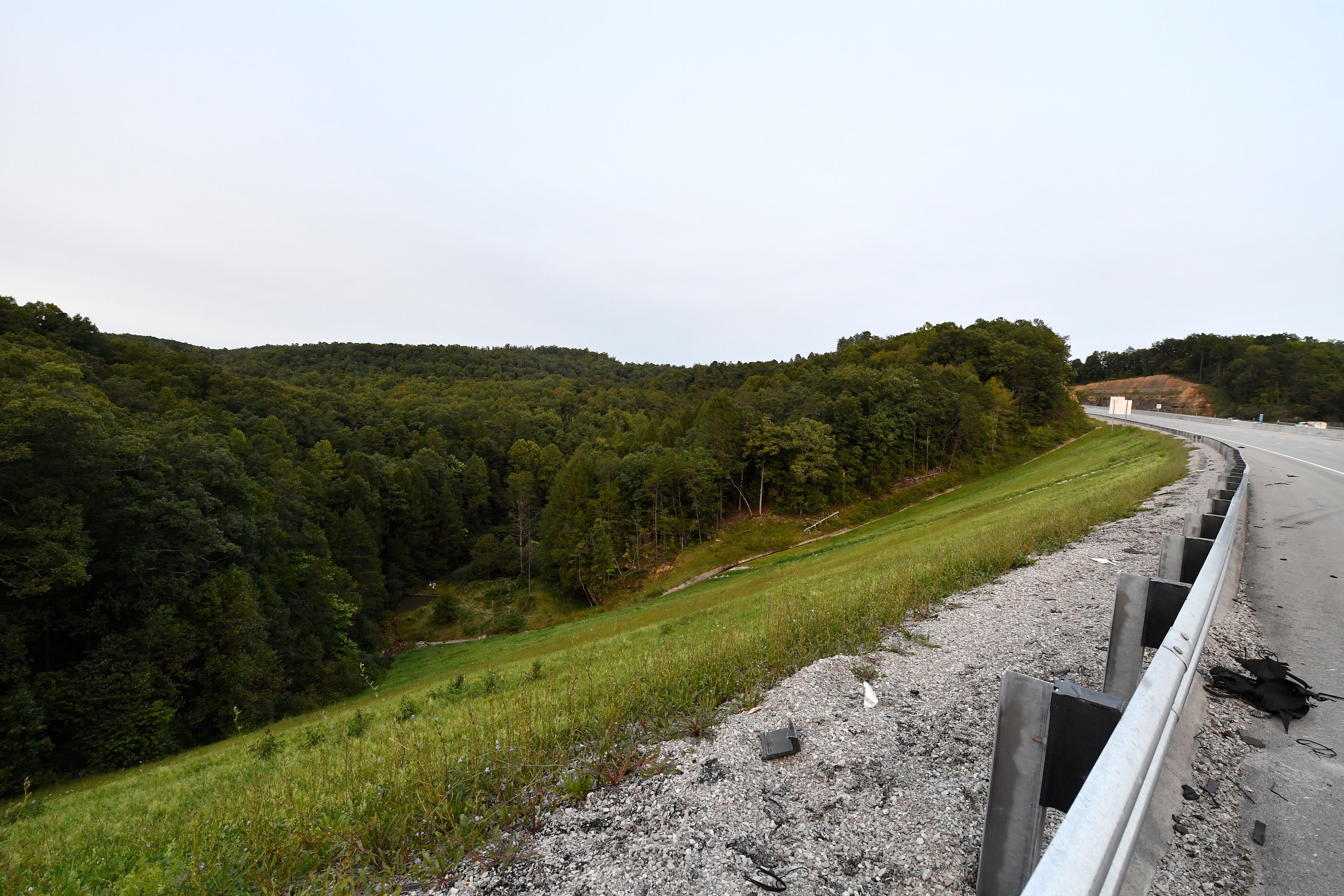 Trees stand in wooded areas alongside Interstate 75 near Livingston, Ky., Sunday, Sept. 8, 2024, as police search for a suspect in a shooting Saturday along the Interstate. (AP Photo/Timothy D. Easley)