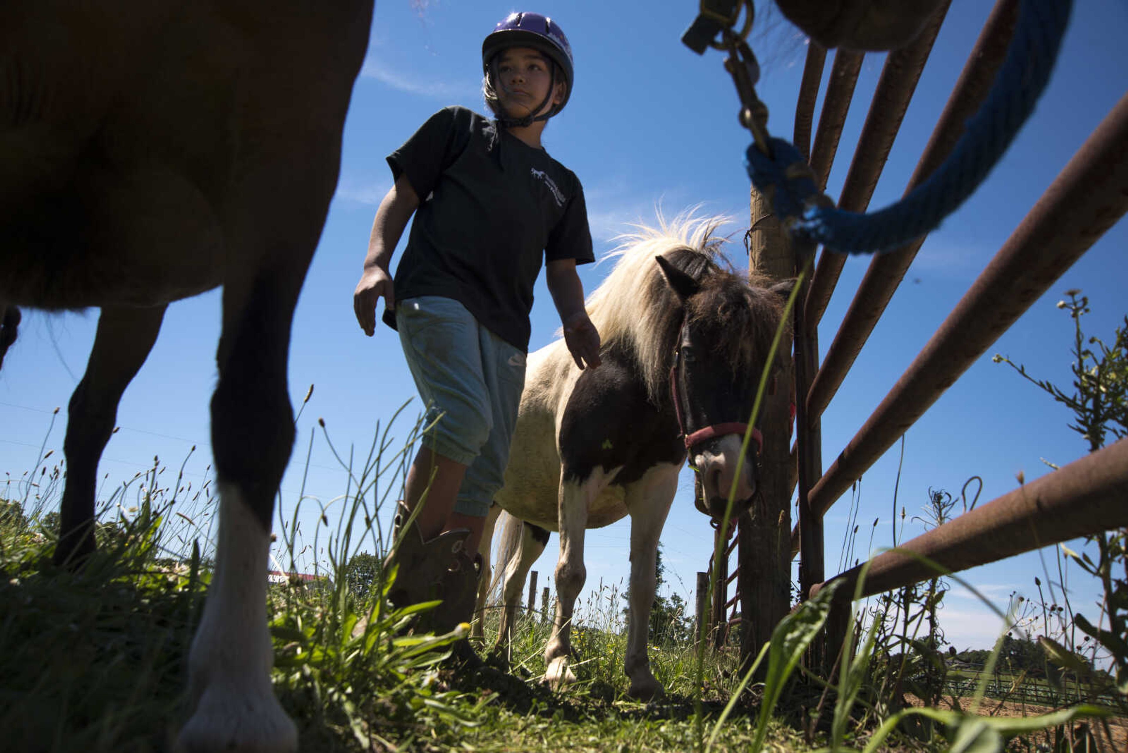 Mila Loafman, 10, decorates Cocoa the miniature horse during the Rolling Hills Youth Day Camp Wednesday, June 7, 2017 in Cape Girardeau.