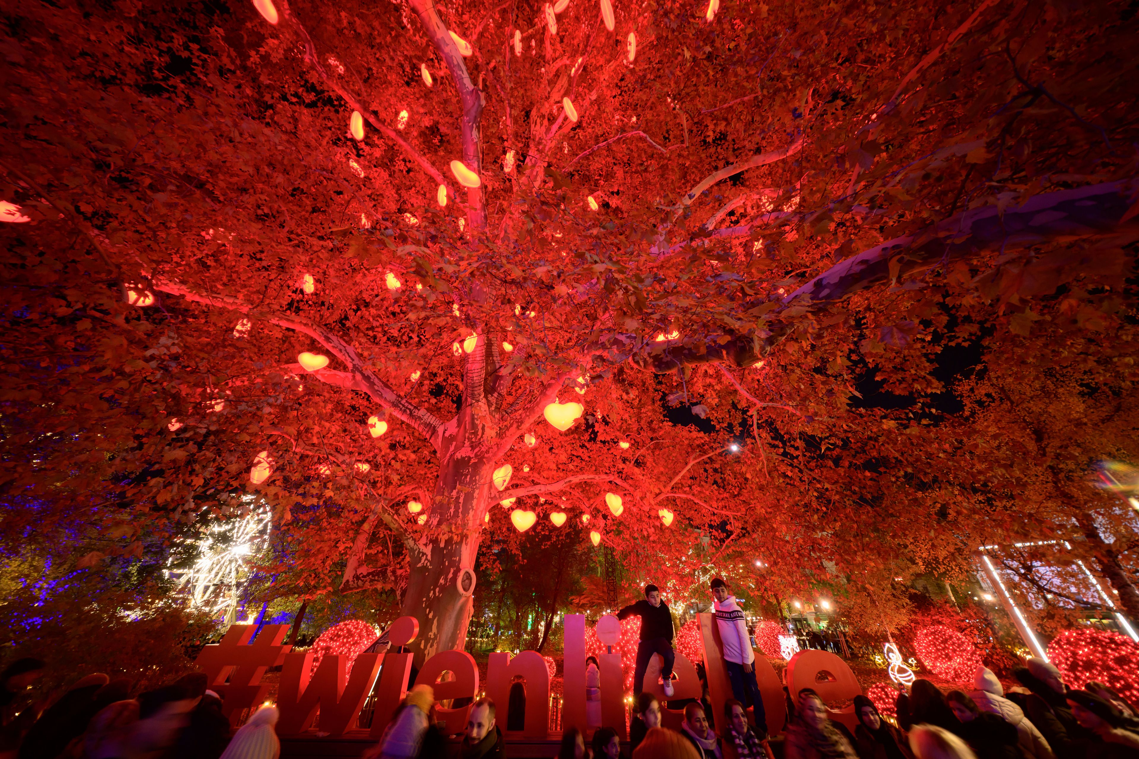 People crowd the Wiener Chritkindlmarkt in front of Vienna's city hall, one of Vienna's most popular Christmas markets, in Vienna, Austria, Saturday, Nov. 16, 2024. (AP Photo/Christian Bruna)