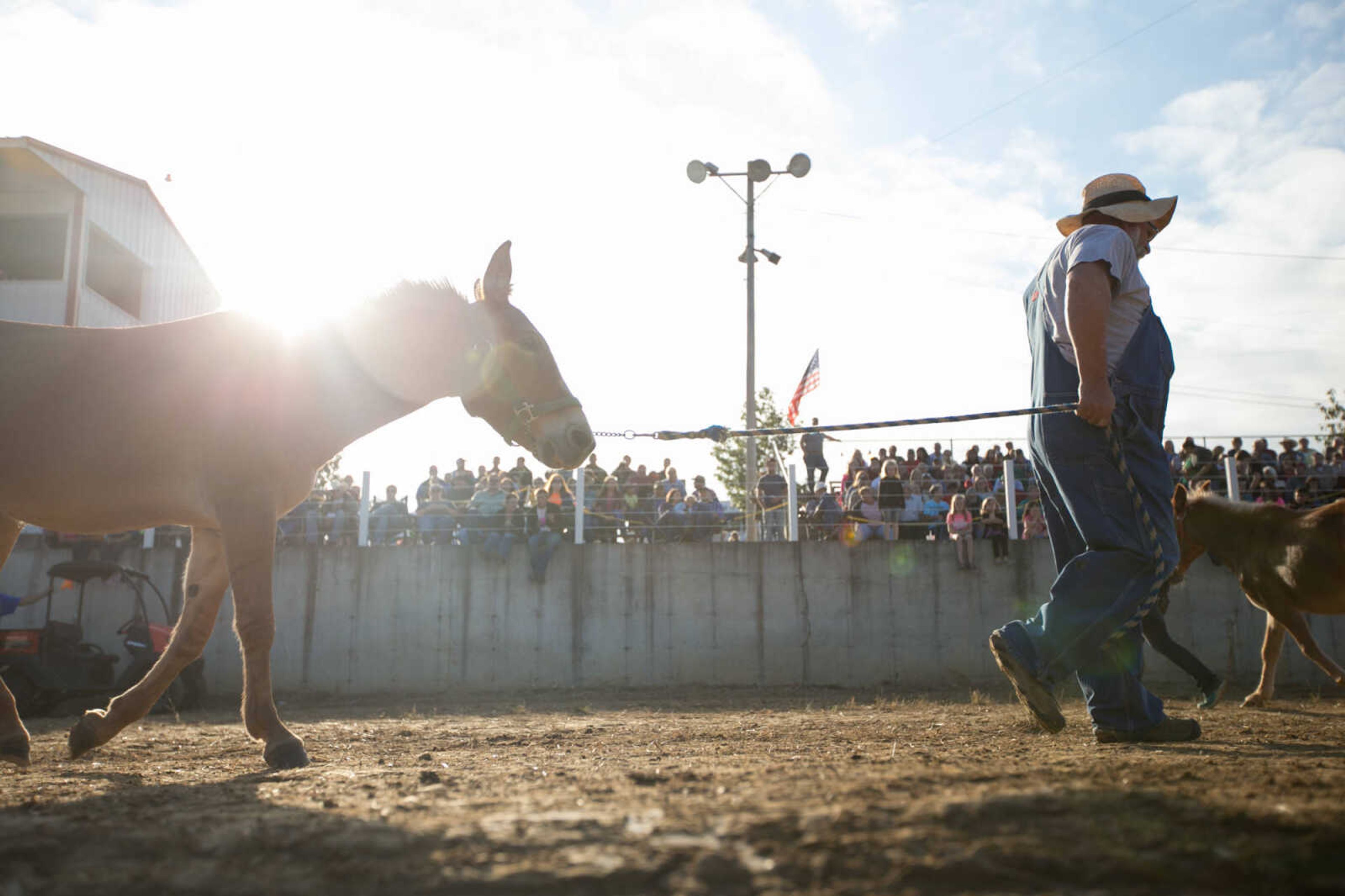 GLENN LANDBERG ~ glandberg@semissourian.com

Mule-jumping contest at the East Perry Community Fair Saturday, Sept. 26, 2015 in Altenburg, Missouri.