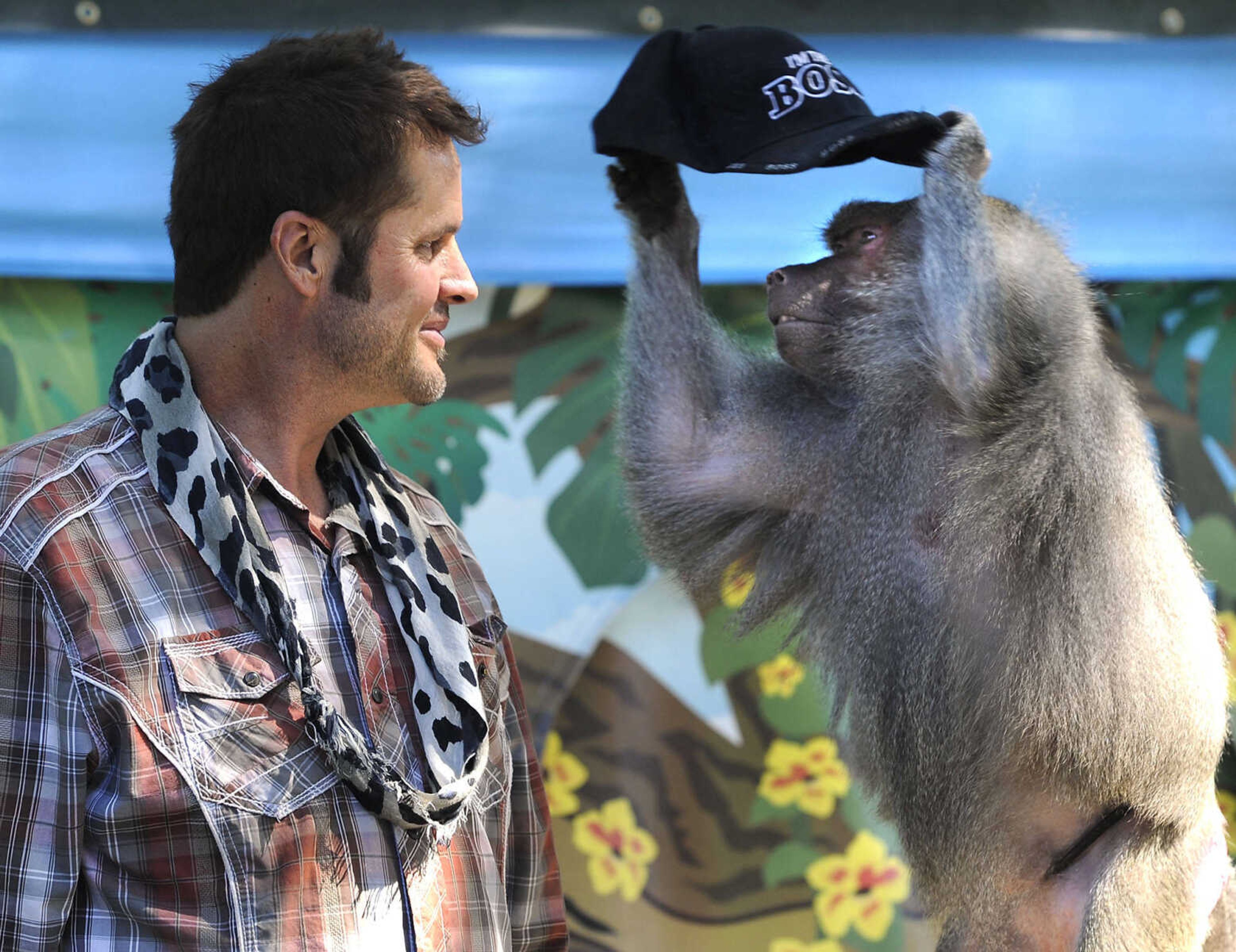 FRED LYNCH ~ flynch@semissourian.com
Dagney, a 20-year-old baboon, steals Kevin Keith's hat during one of the three daily shows of "Wild About Monkeys" on Sunday, Sept. 7, 2014 at the SEMO District Fair.