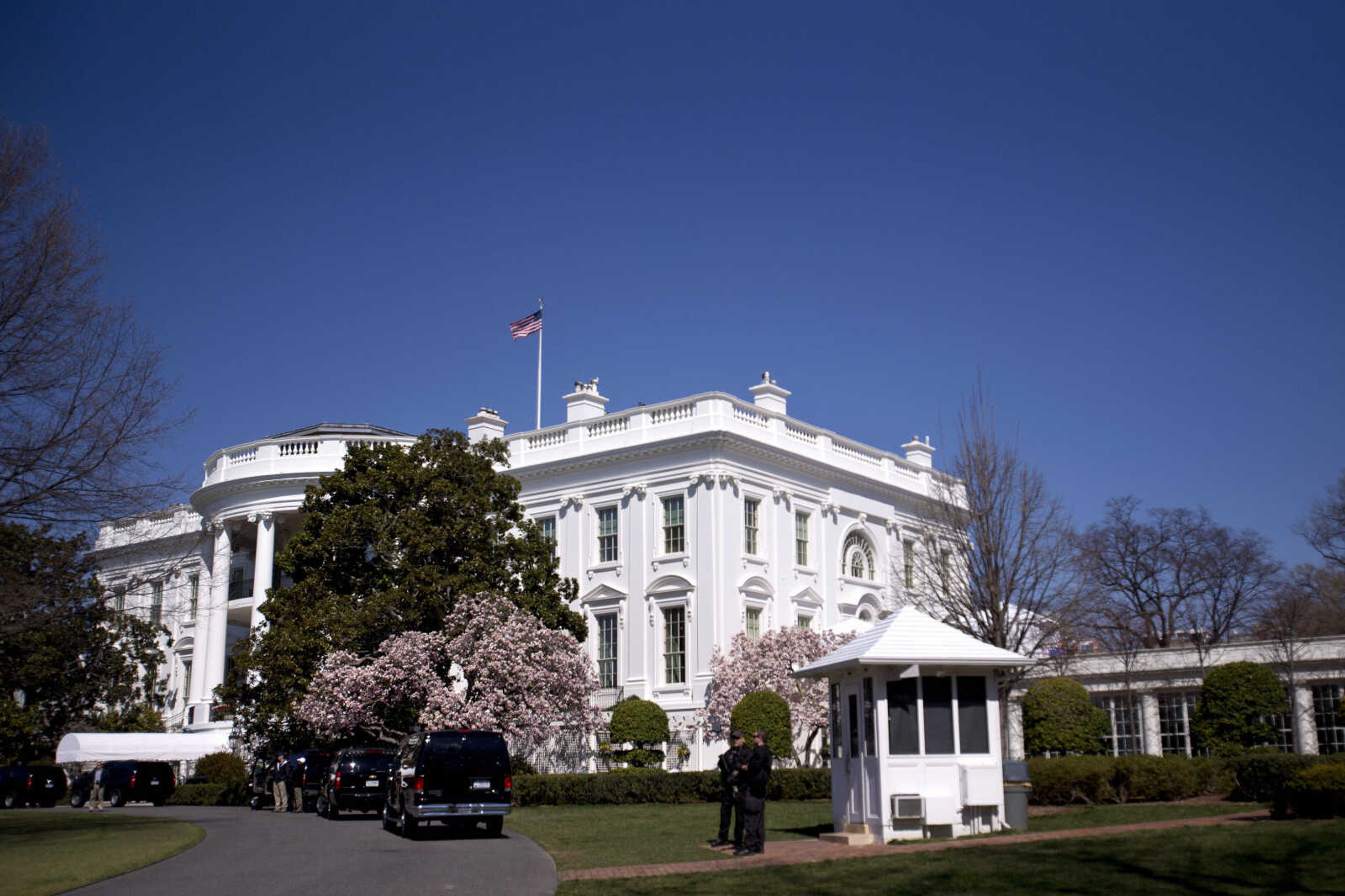 Magnolia trees are in bloom by the motorcade that waits to take President Barack Obama for an afternoon of golf, at the White House in Washington on Saturday April 6, 2013. (AP Photo/Jacquelyn Martin)