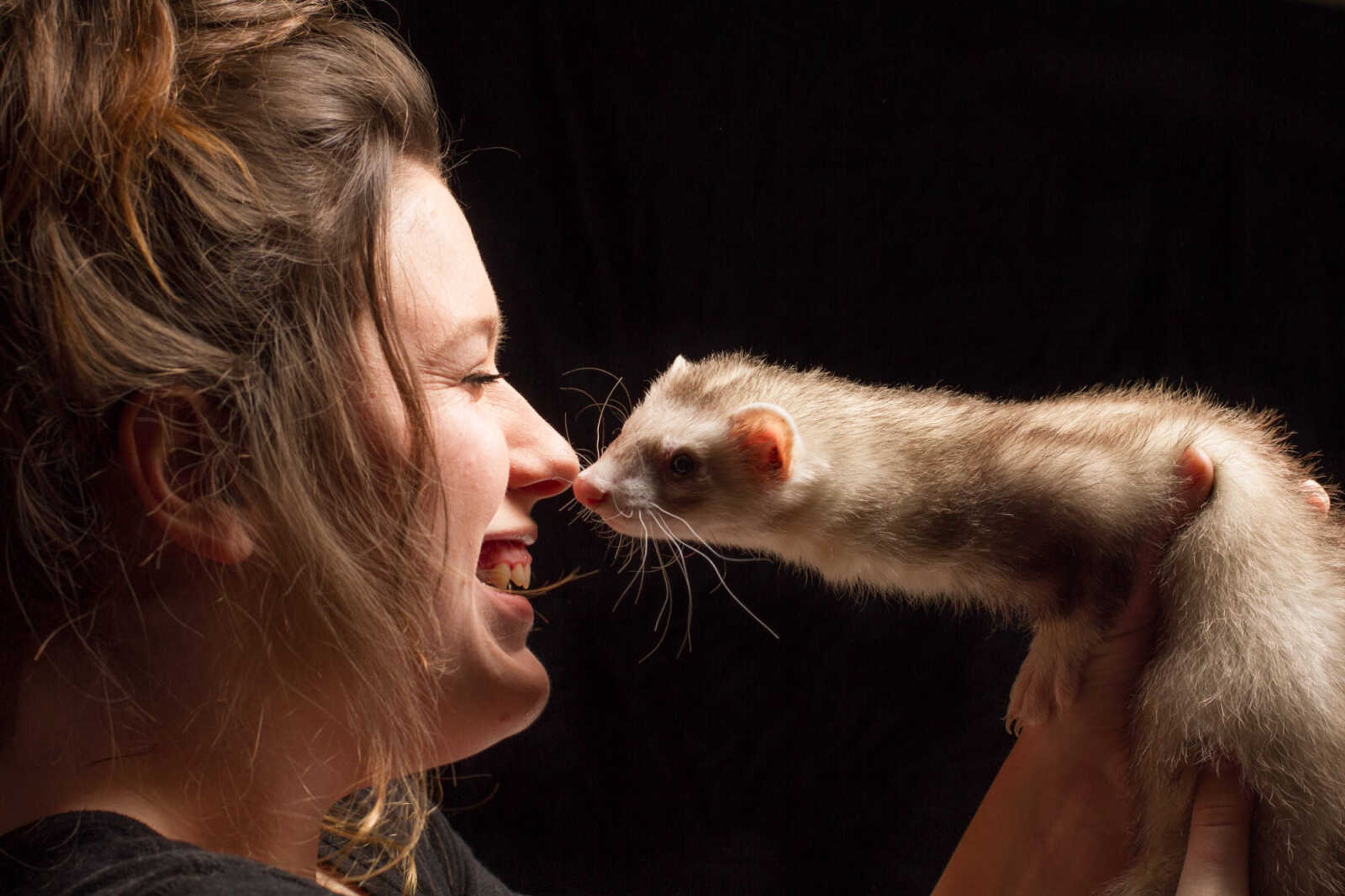 GLENN LANDBERG ~ glandberg@semissourian.com


Chaylon St. Cin shares a moment with her pet ferret, Zeus Wednesday, Jan. 28, 2015.