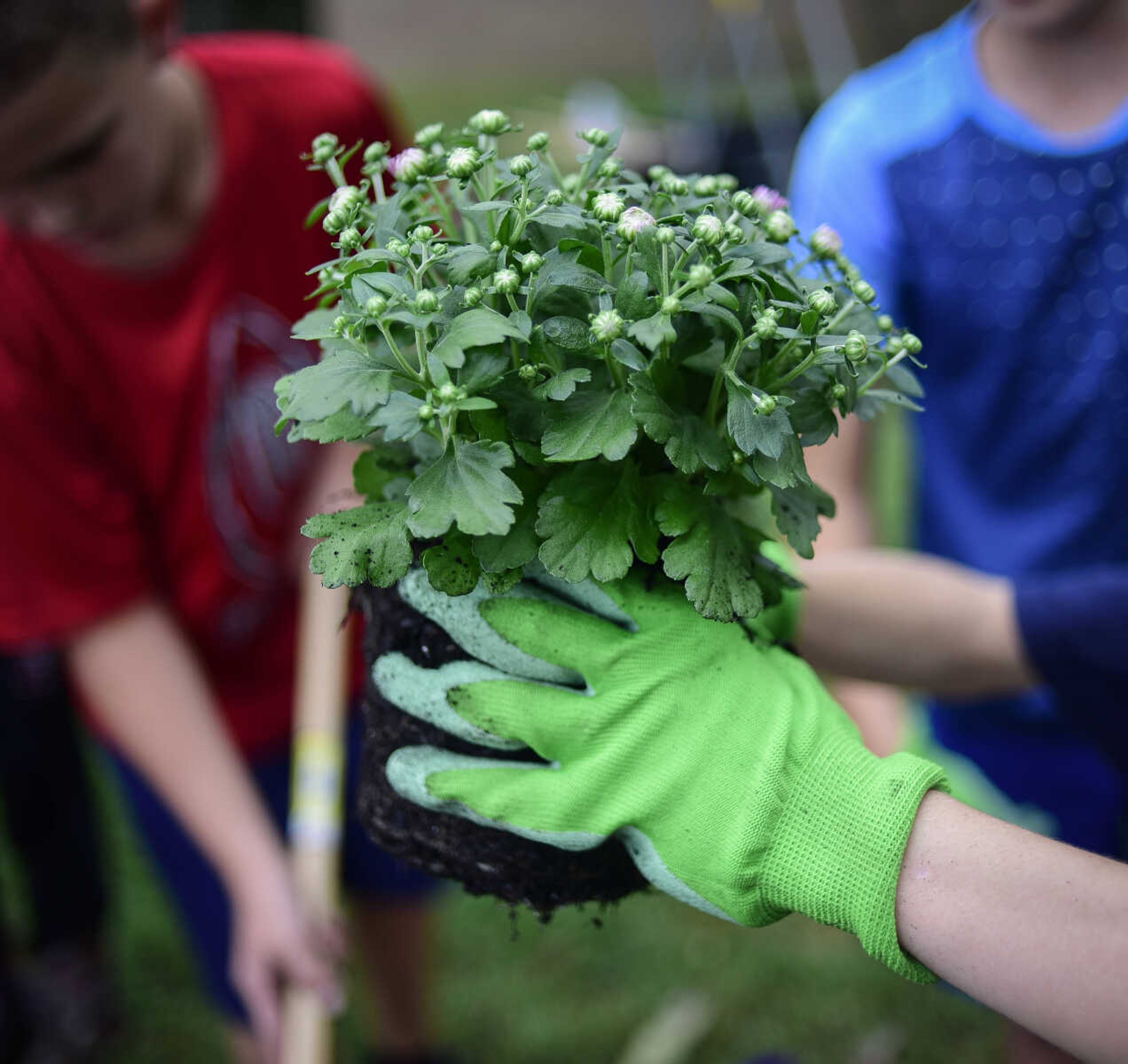 5th graders in Mrs. Young's class plant pansies and mums in flower beds donated by Lowe's as part of the Lowe's Heroes program Monday, Sept. 18, 2017 at West Lane Elementary in Jackson. Lowe's donated 12 flower beds, 10 picnic tables and three new benches for the school.