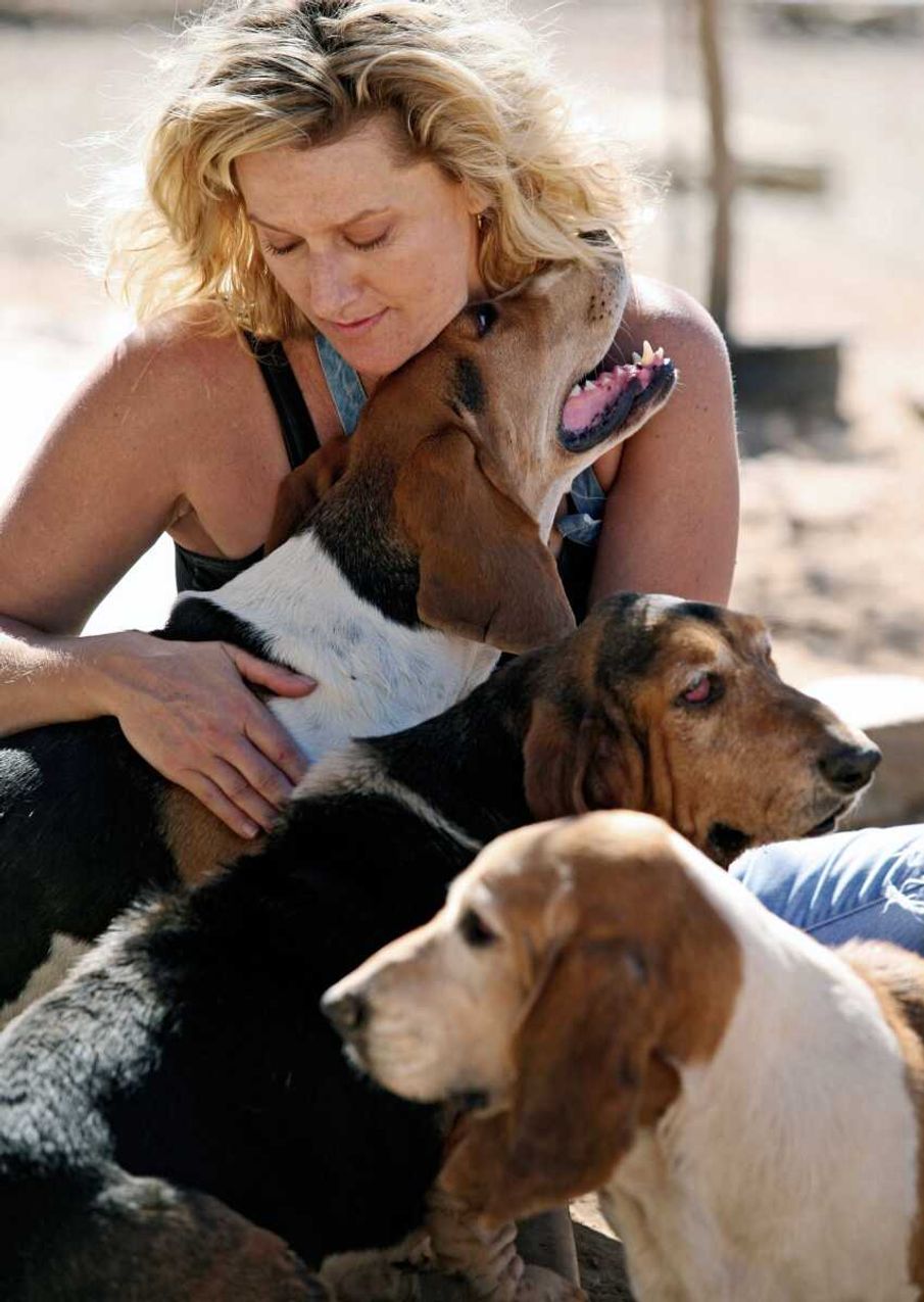 Bill collectors hounding basset rescue owner