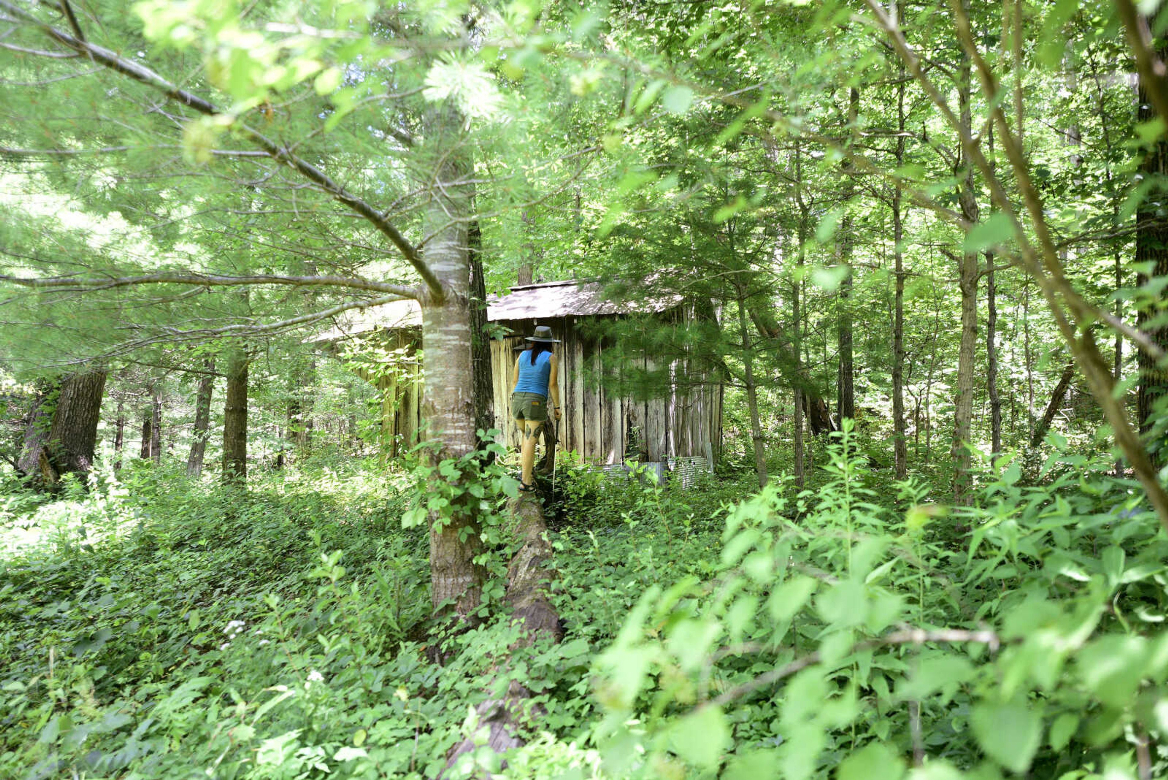 Anna Mae Zembsch checks around an old chicken coup for snakes.