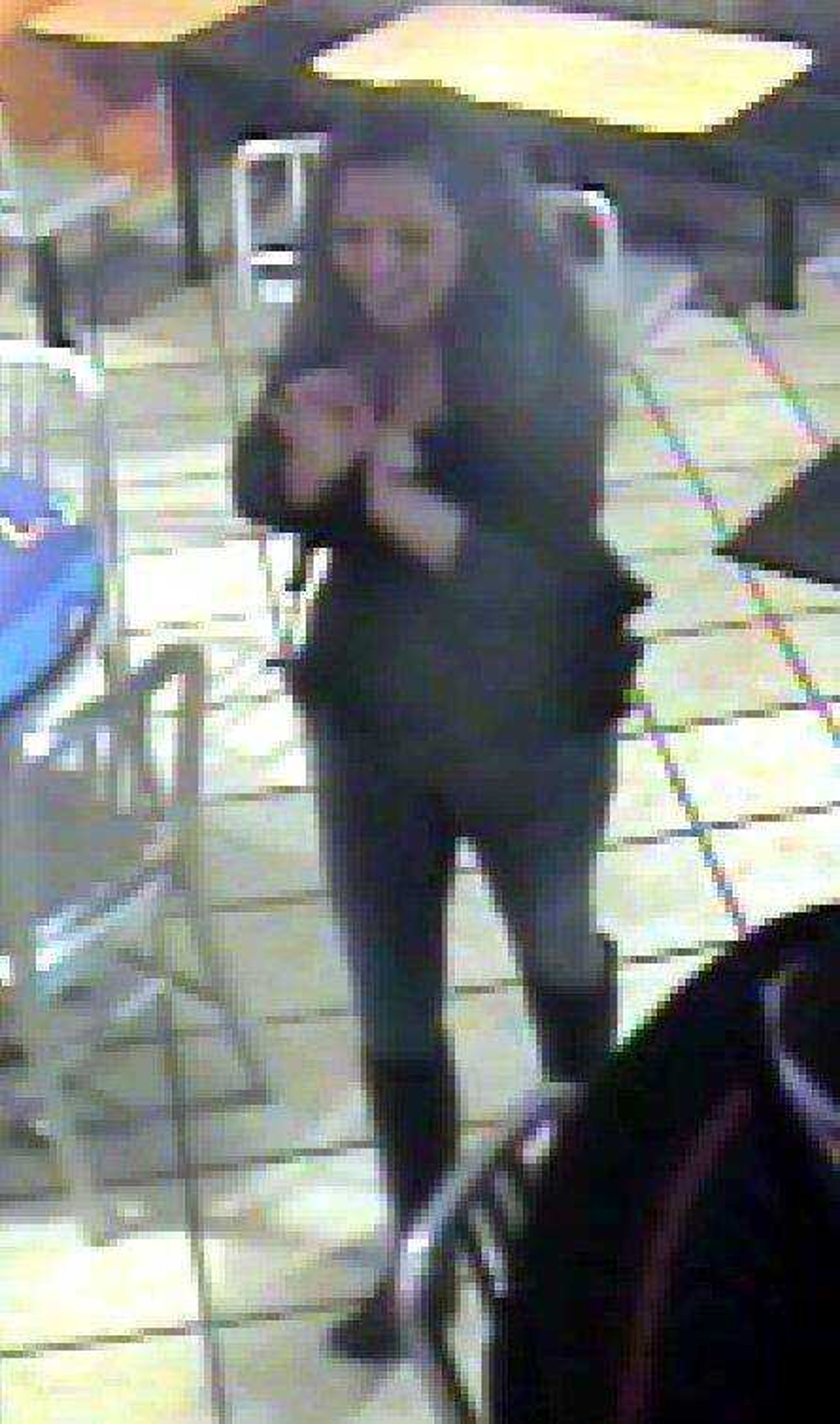 Cape Girardeau police are seeking help in identifying this woman who is suspected of stealing a picture Saturday from McDonald's, 1925 Broadway. (Cape Girardeau Police Department)