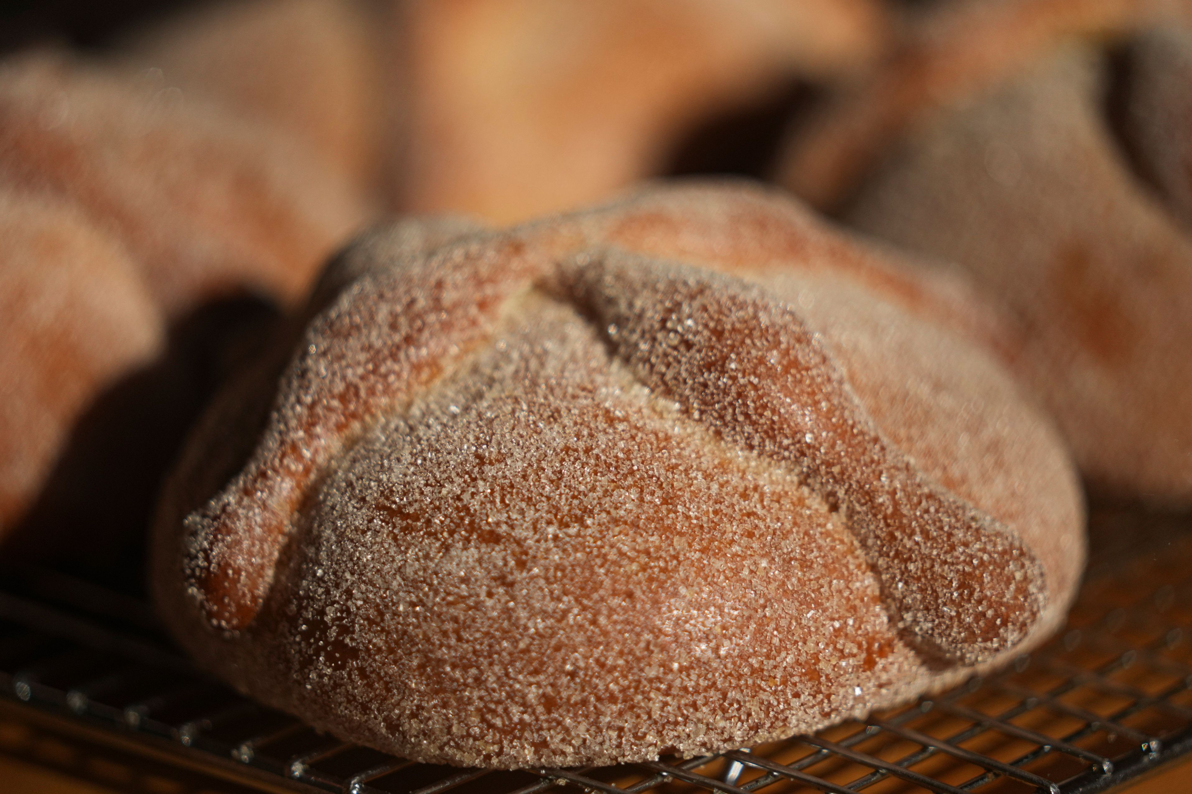 Pan de muerto, or "bread of the dead," traditional for Mexico's Day of the Dead, sits for sale at a bakery in San Rafael neighborhood of Mexico City, Thursday, Oct. 17, 2024. (AP Photo/Fernando Llano)