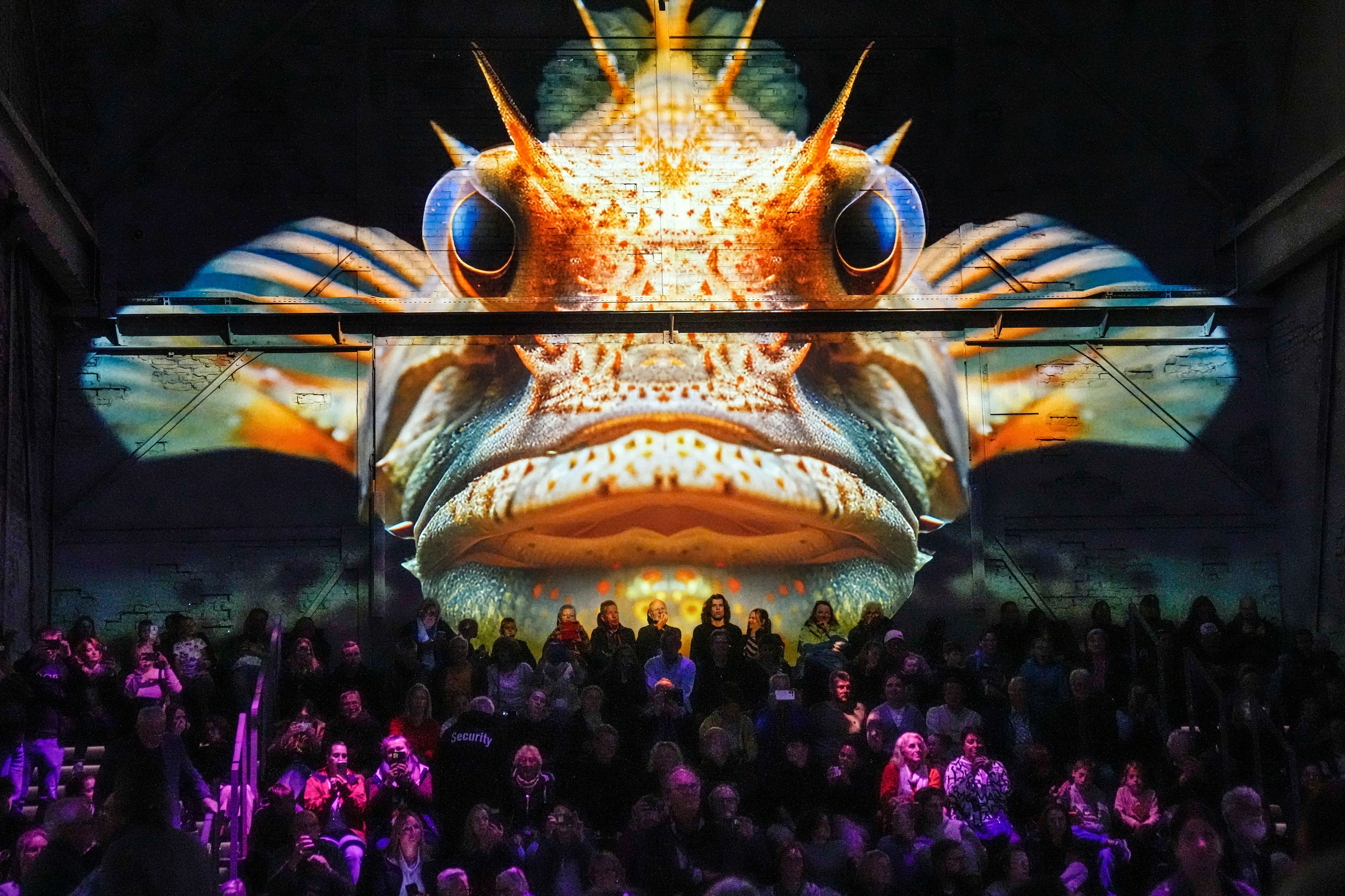 Visitors watch the audiovisual presentation Ocean Odyssey, projected on the walls of a former steelworks at the Phoenix des Lumieres exhibition in Dortmund, Germany, Friday, Oct. 4, 2024. (AP Photo/Martin Meissner)