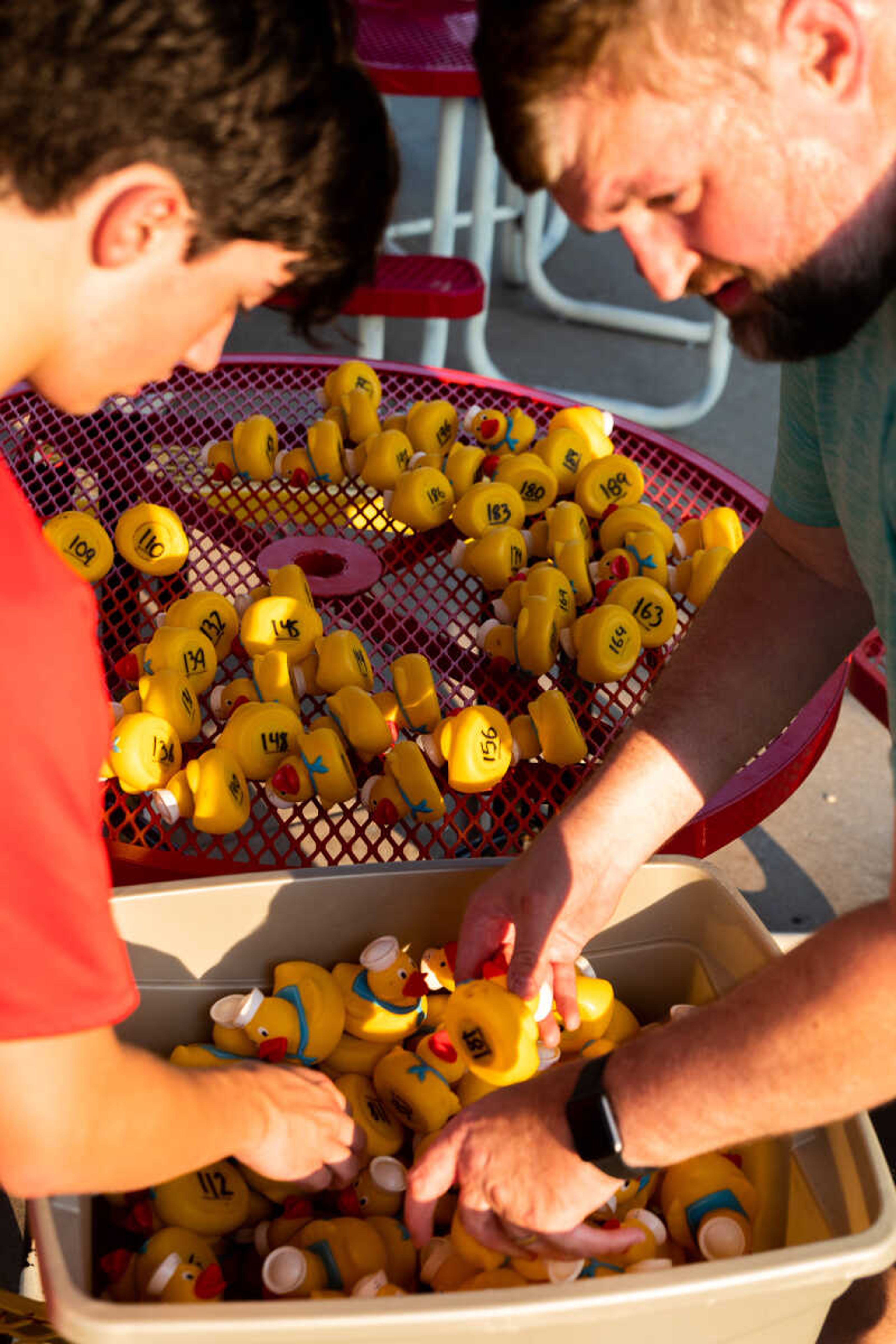 Finn Gorman and&nbsp;Chris McAuley prepare the rubber ducks for the Duck Regatta.