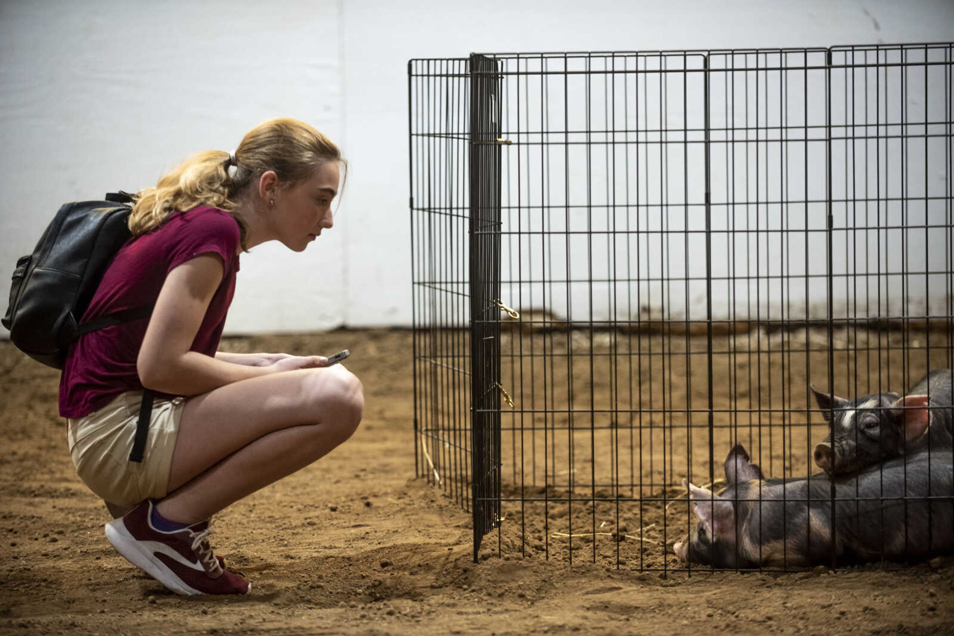 Faith Endicott, 12, of Perryville, looks at young Berkshire pigs as they rest during the 24th annual Farm Day sponsored by the Southeast Missouri Cattlemen's Association at Flickerwood Arena Wednesday, April 24, 2019, in Jackson. Over 800 students attended Farm Day and learned about a variety of farm-related topics from forestry to soil conservation, as well as farm animals and honey bees.