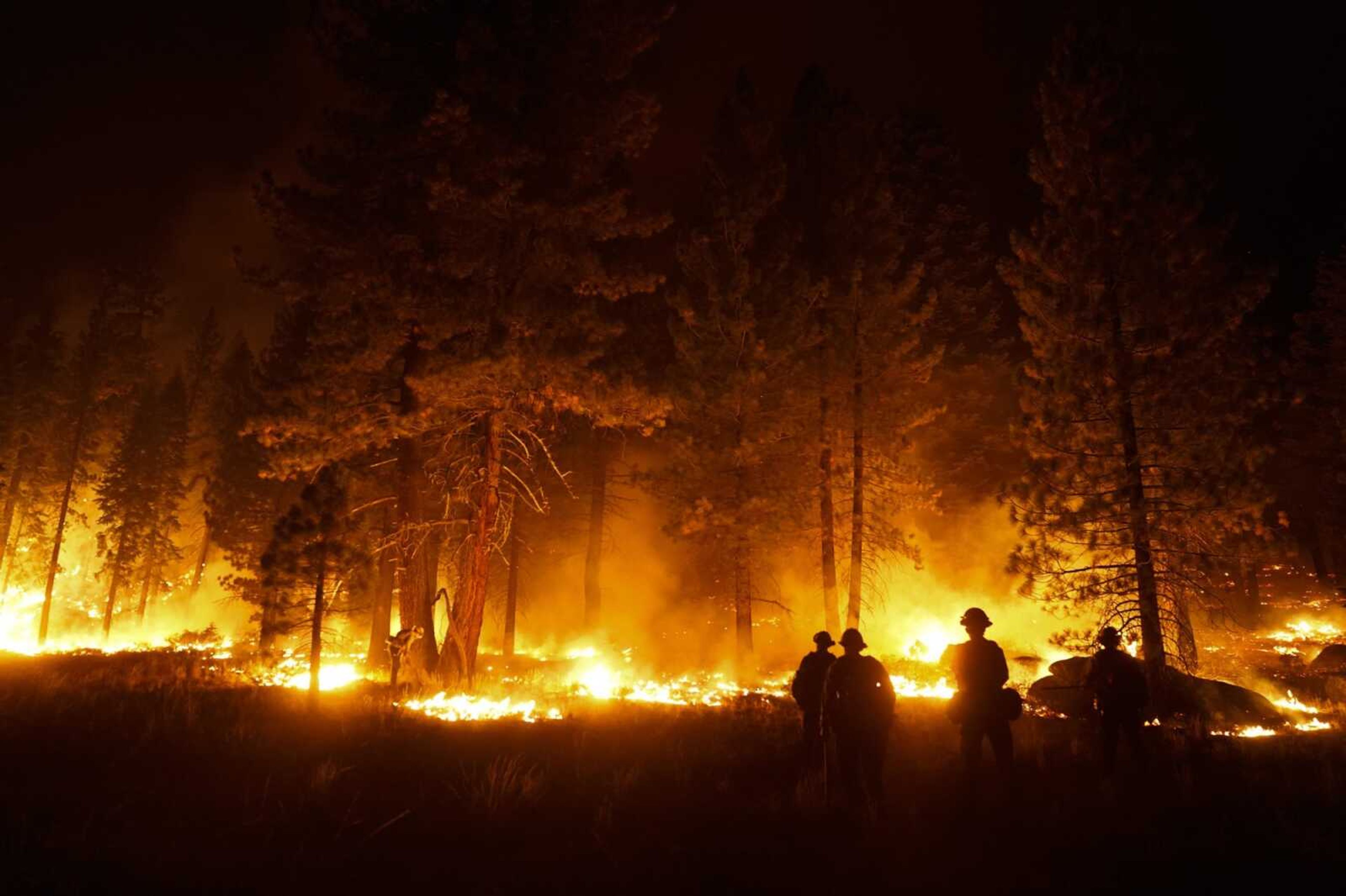 FILE - In this Sept. 1, 2021, file photo, a firefighter lights a backfire to stop the Caldor Fire from spreading near South Lake Tahoe, Calif. An unidentified firefighter has died of an illness while assigned to one of California's largest wildfires, authorities said Sunday, Sept. 5, 2021, marking the first death in a season that has seen blazes destroy thousands of buildings and force entire towns to flee. Edwin Zuniga with the California Department of Forestry and Fire Protection said he couldn t provide other details on the death. (AP Photo/Jae C. Hong, File)