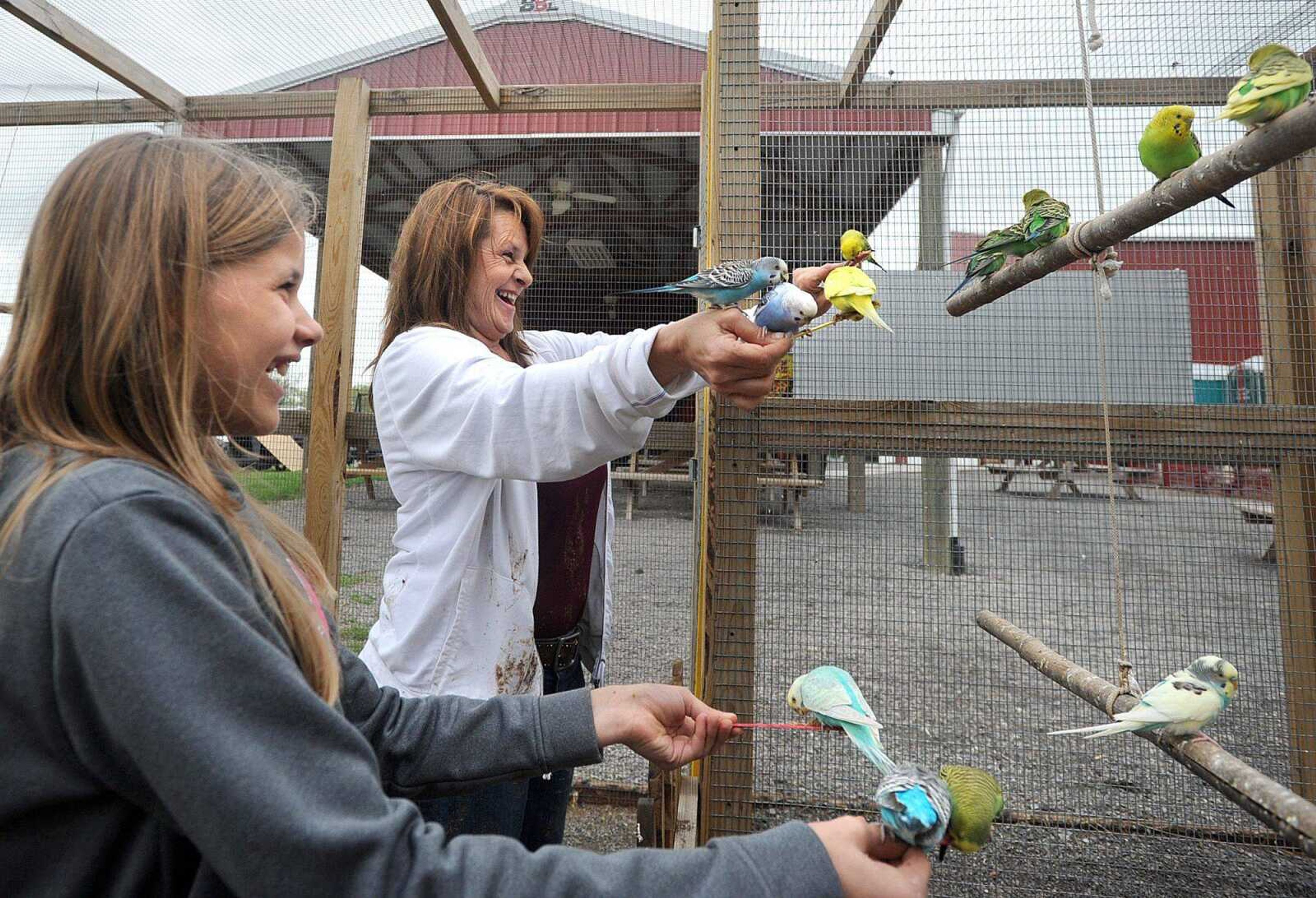 Parakeets surround Mollie Bumpus, 11, and her mother Julie as they feed the birds Sunday at Lazy L Safari Park in Cape Girardeau. The zoo was one of many stops along the 23rd annual Mississippi River Valley Scenic Drive. (Laura Simon)