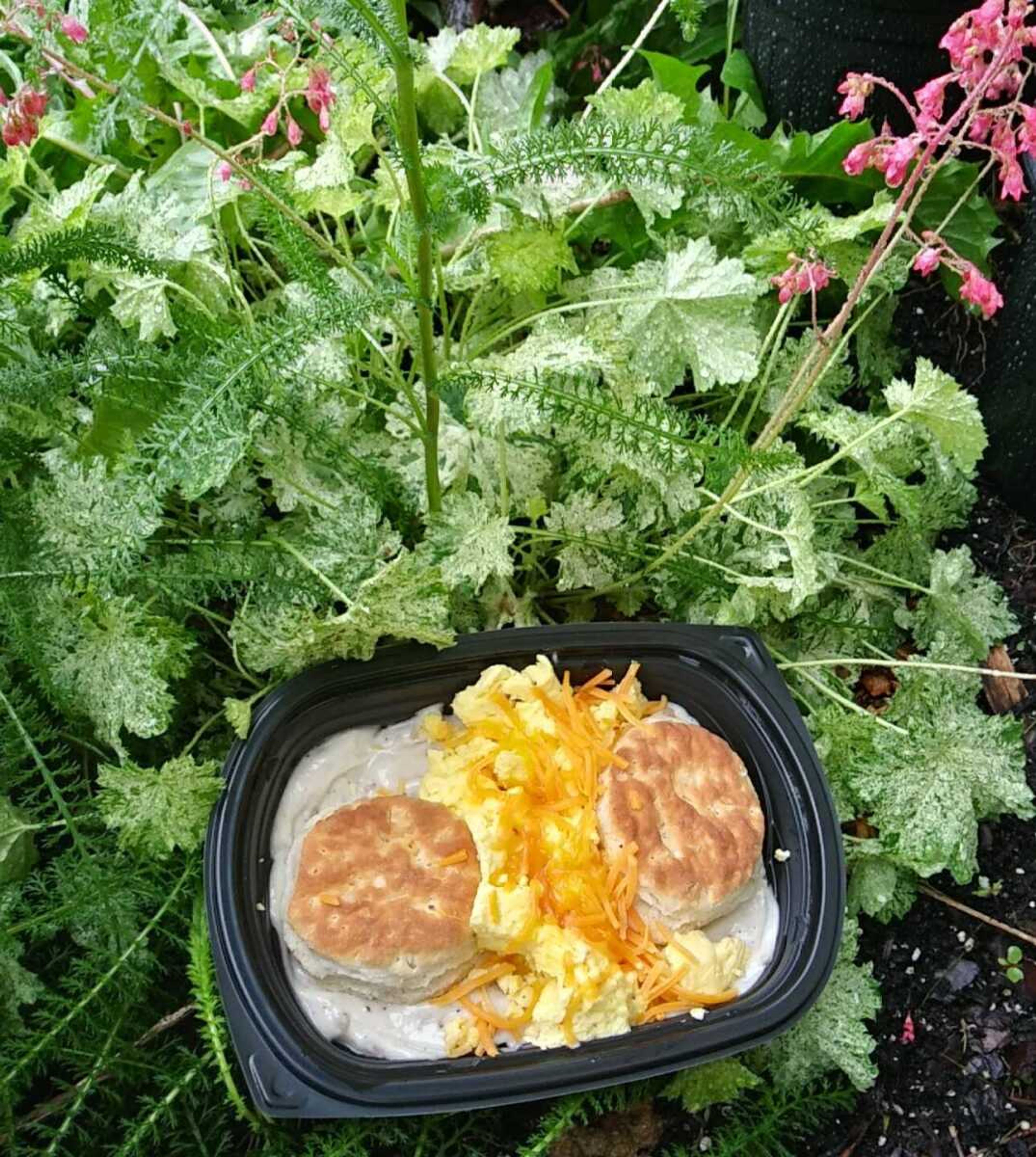 The Cheesecake Ninja's loaded biscuits and gravy, soft and tangy and a ton of delicious breakfast food.