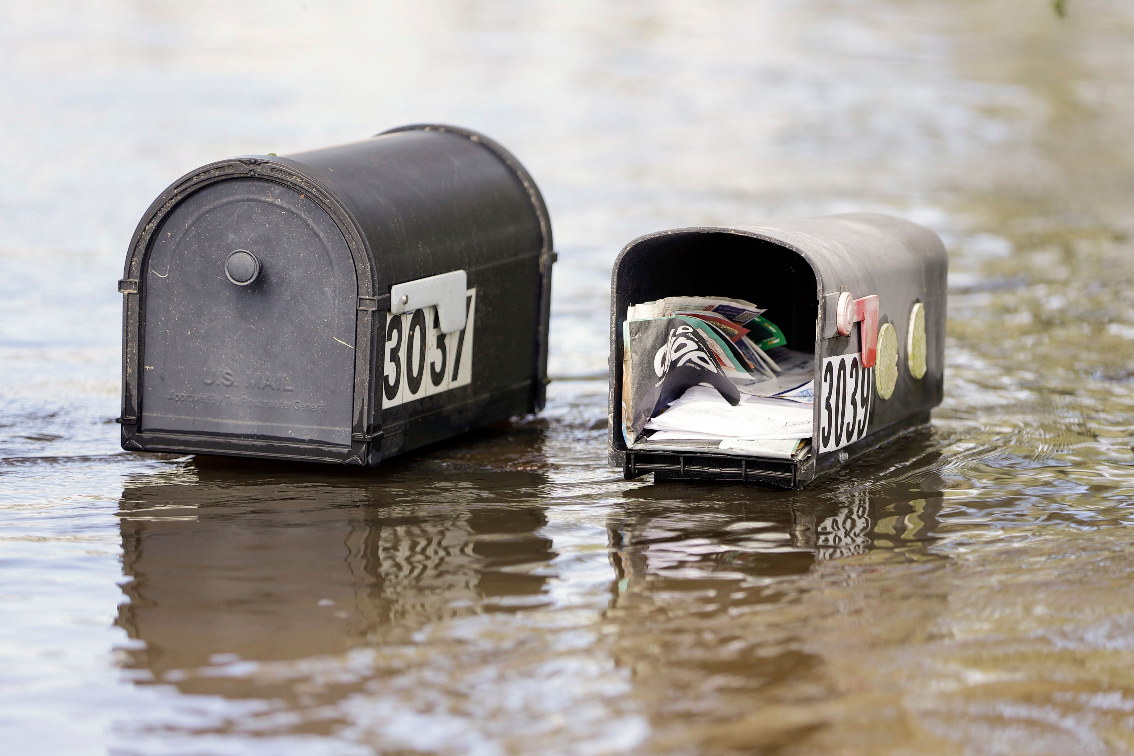 Water levels reaching mailboxes along Rose St. a community inundated by historic flooding of the Alafia River, Friday, Oct. 11, 2024 in Lithia, Fla. (Luis Santana/Tampa Bay Times via AP)