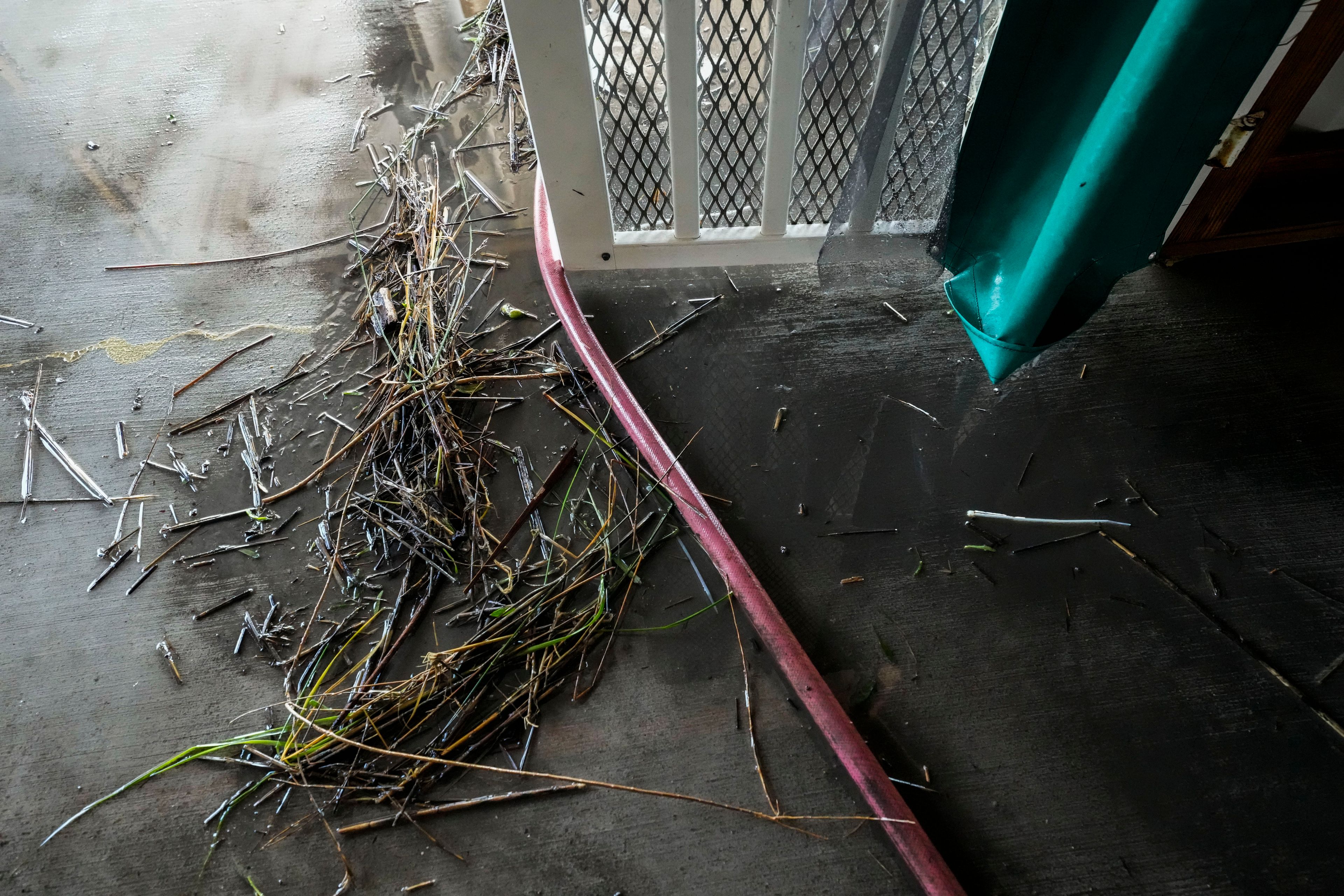 Marsh grass is on the floor as the Pellegrin family cleans out their camp, which took on a storm surge, in the aftermath of Hurricane Francine, in Cocodrie, La., Thursday, Sept. 12, 2024. (AP Photo/Gerald Herbert)