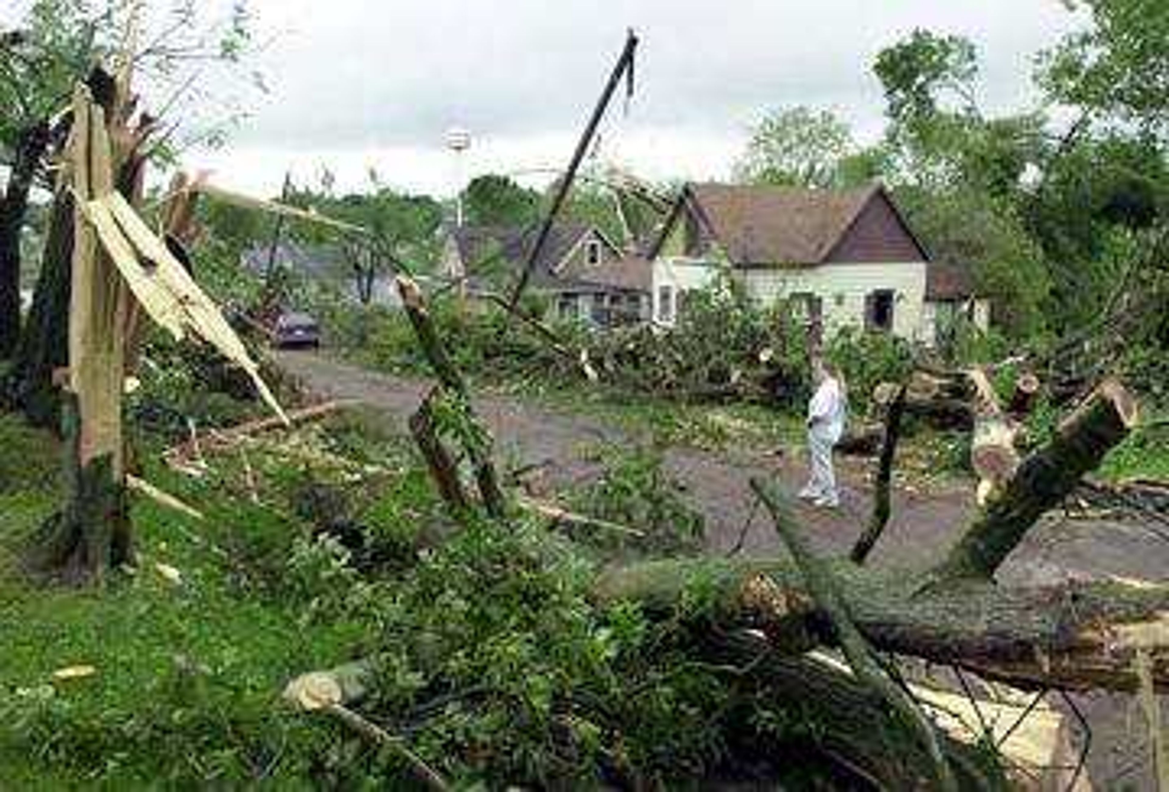 The tornado ripped up trees at Morton and Howard Streets in Jackson.