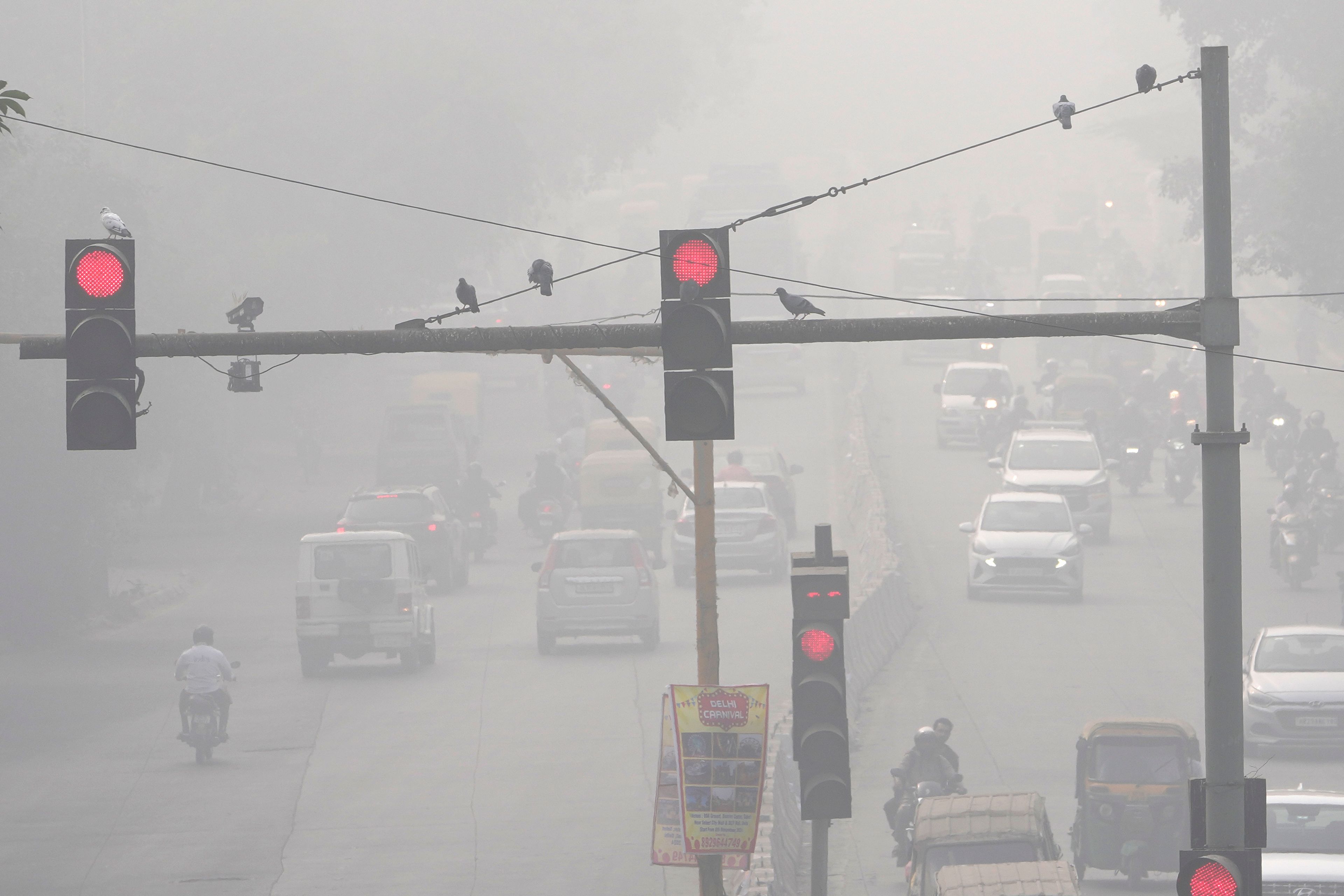 Pigeons rest on a traffic light post surrounded by a thick layer of smog in New Delhi, India, Thursday, Nov. 14, 2024. (AP Photo/Manish Swarup)