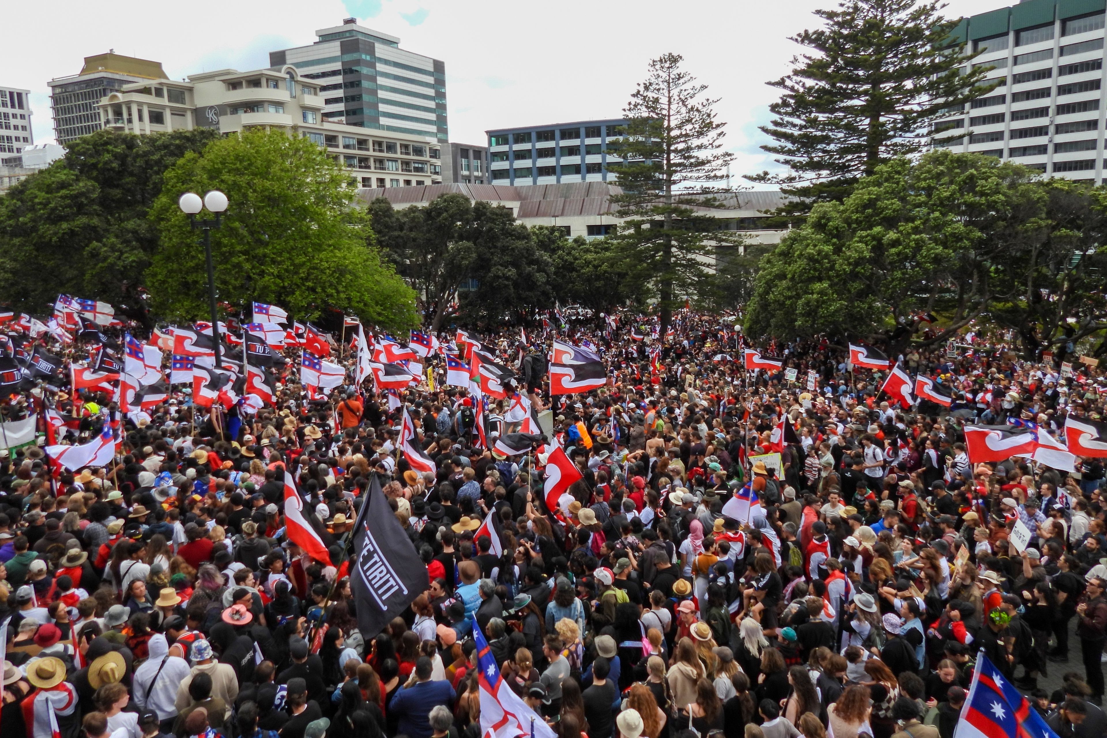 Thousands of people gather outside New Zealand's parliament to protest a proposed law that would redefine the country's founding agreement between Indigenous Māori and the British Crown, in Wellington Tuesday, Nov. 19, 2024. (AP Photo/Charlotte Graham-McLay)