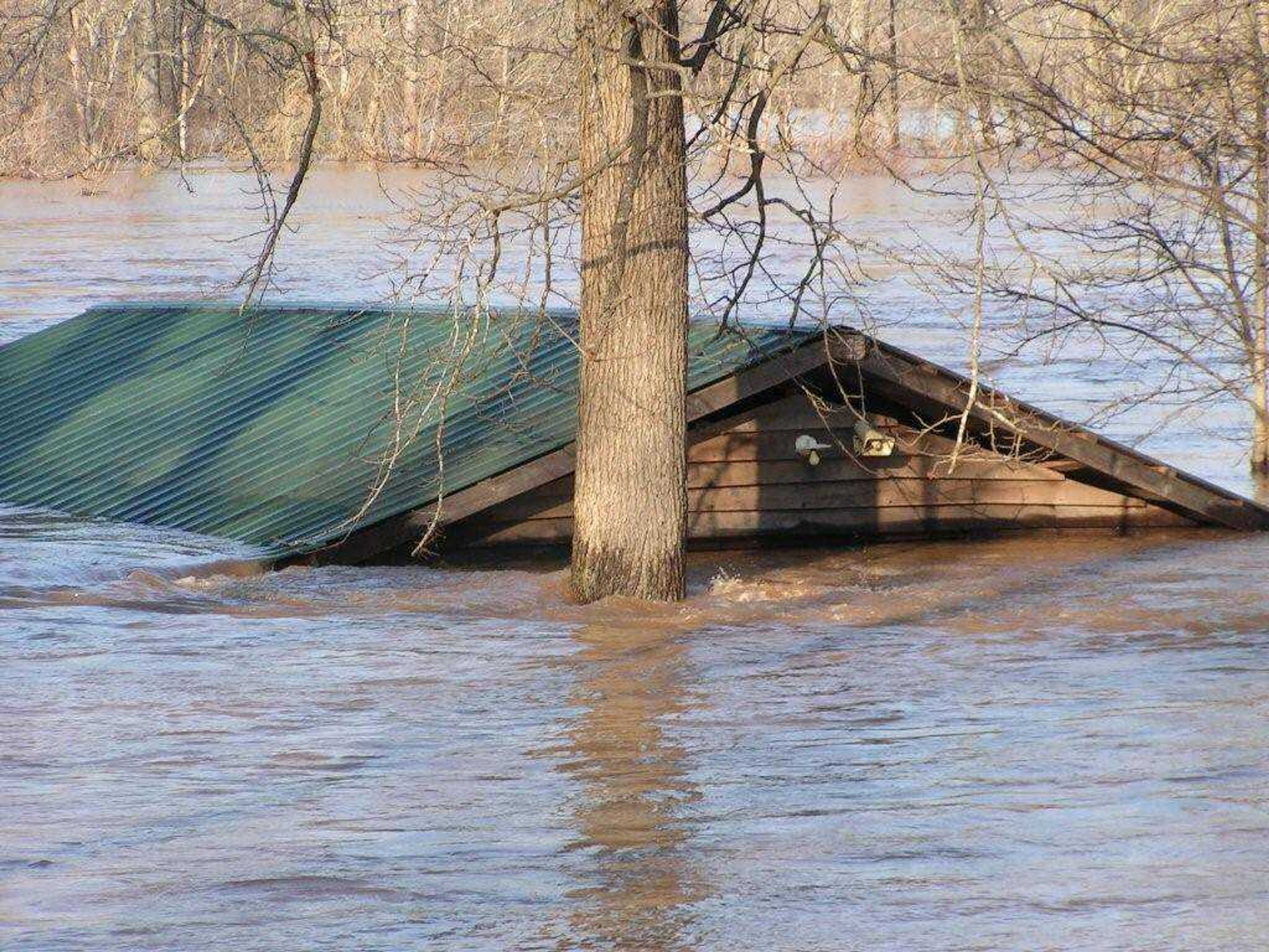 Maddox Cook Shack