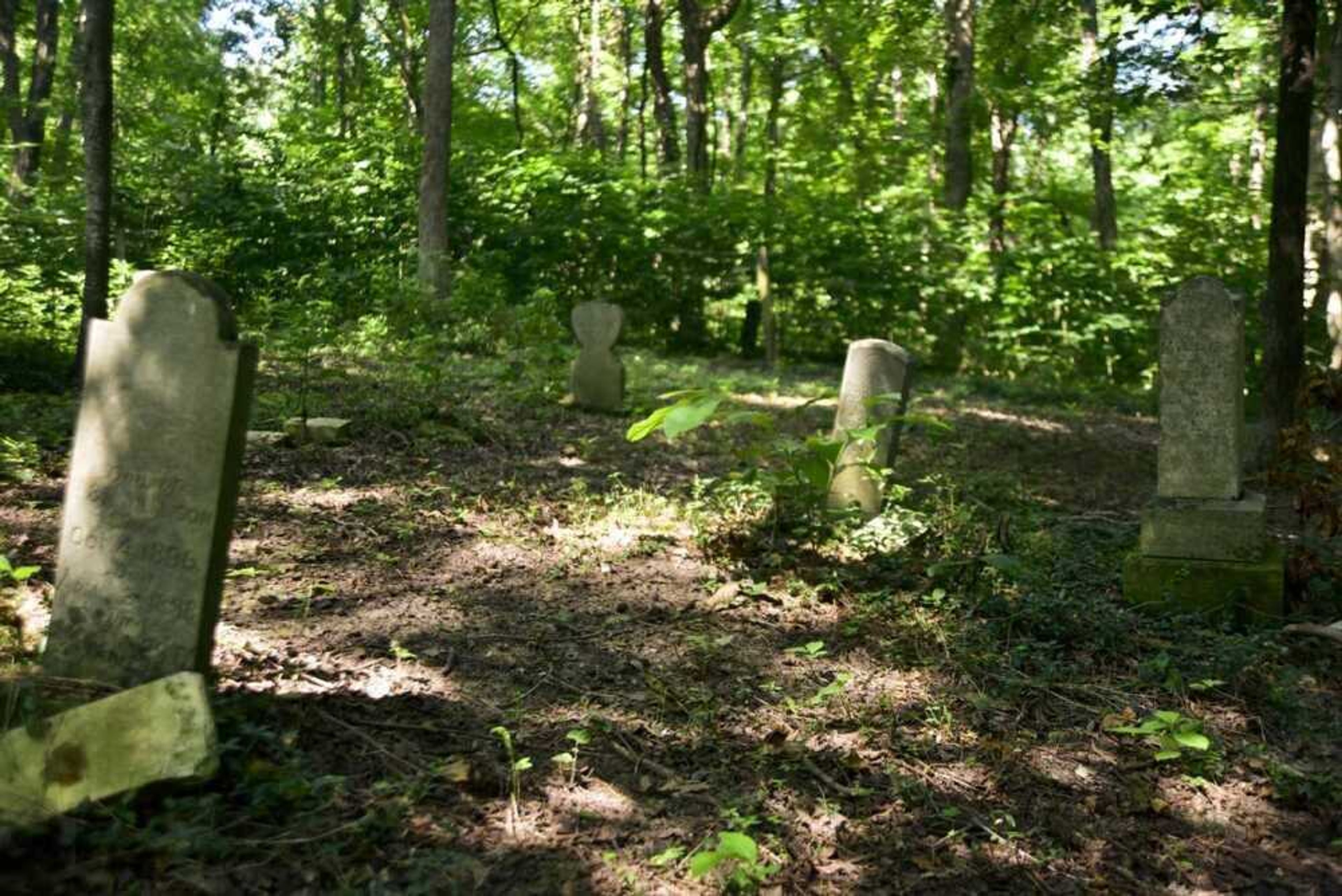 Some 250 people are buried in Shady Grove Cemetery near Dutchtown. Individuals descended from them formed a preservation group that recently gained trusteeship over the cemetery.