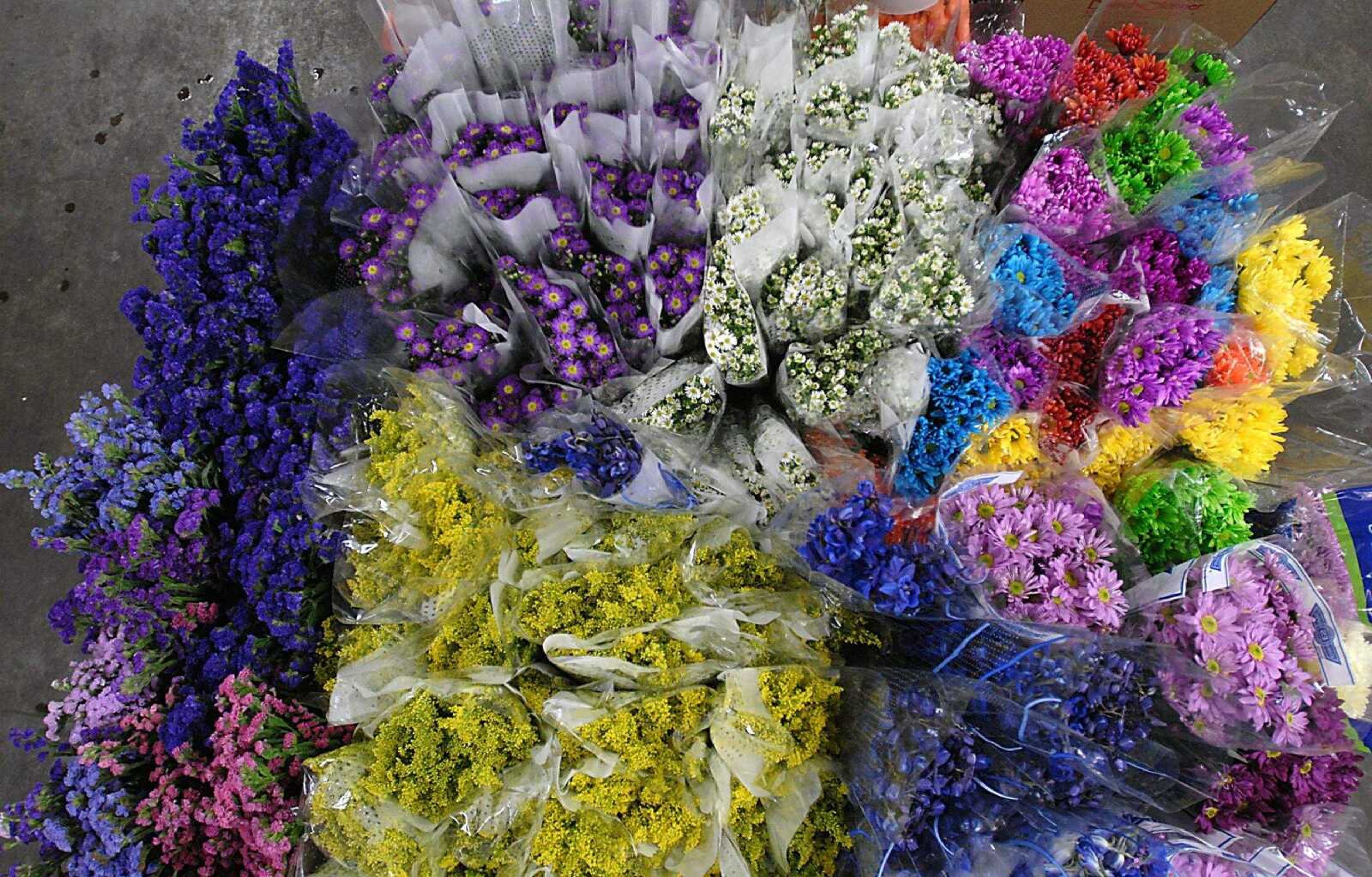 KIT DOYLE ~ kdoyle@semissourian.com
Flowers in the cooler at Baisch & Skinner Wholesale Florists on South Sprigg St. Monday, June 16, 2008, in Cape Girardeau.