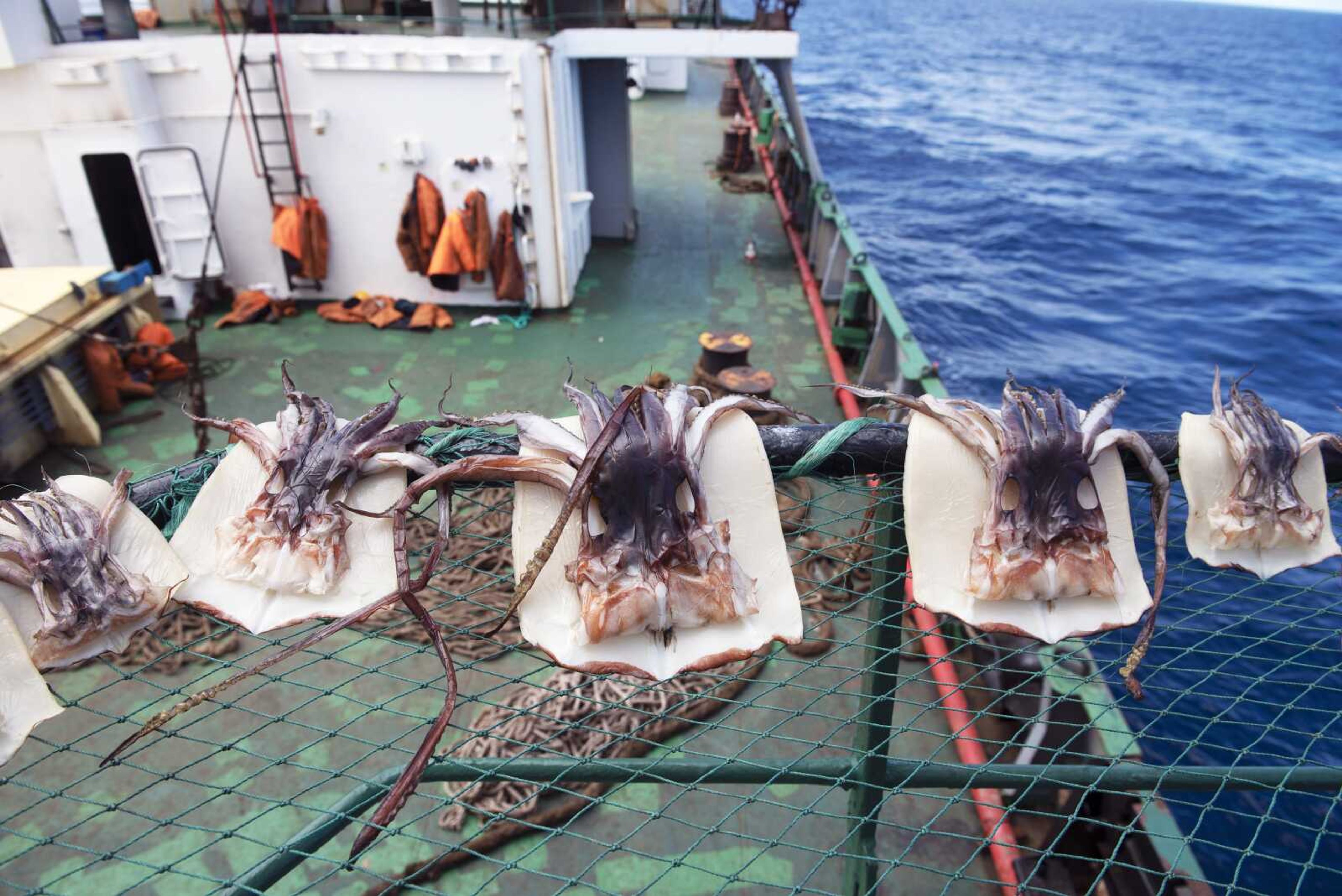 Guardsmen from the cutter James conduct a boarding of a fishing vessel Aug. 3 in the eastern Pacific Ocean.