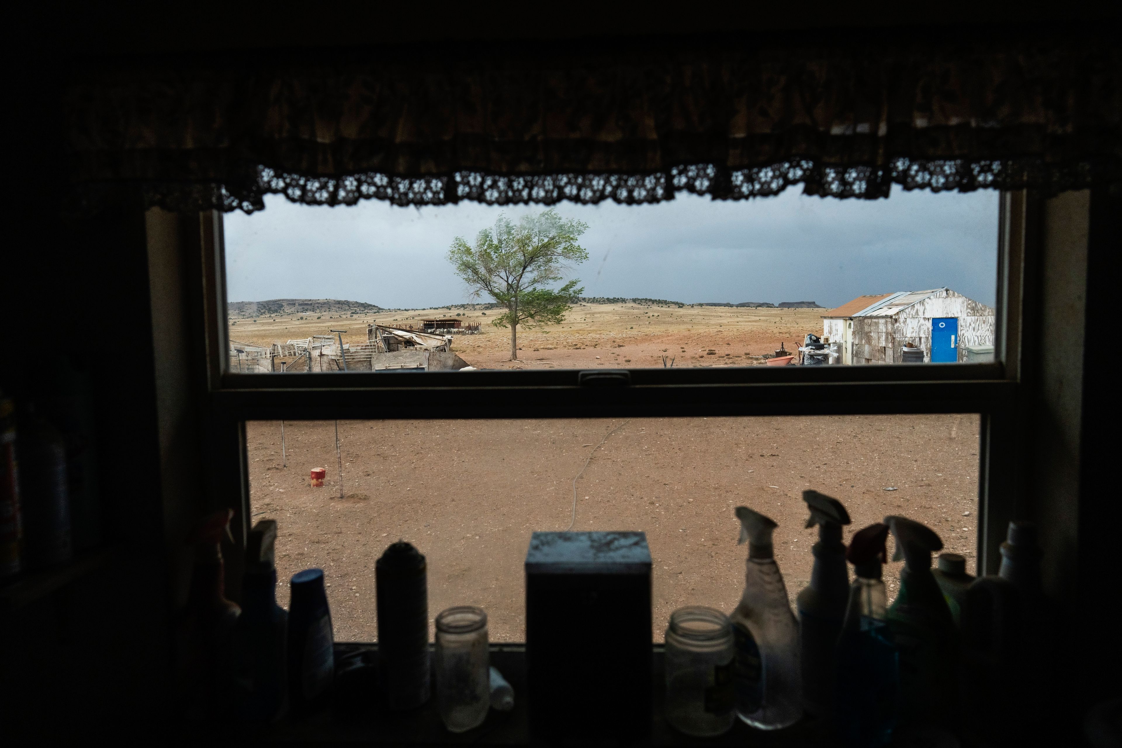 A view from the kitchen window of goat herder Richard Begay, on the Navajo Nation in Dilkon, Ariz., Friday, Oct. 18, 2024. (AP Photo/Rodrigo Abd)