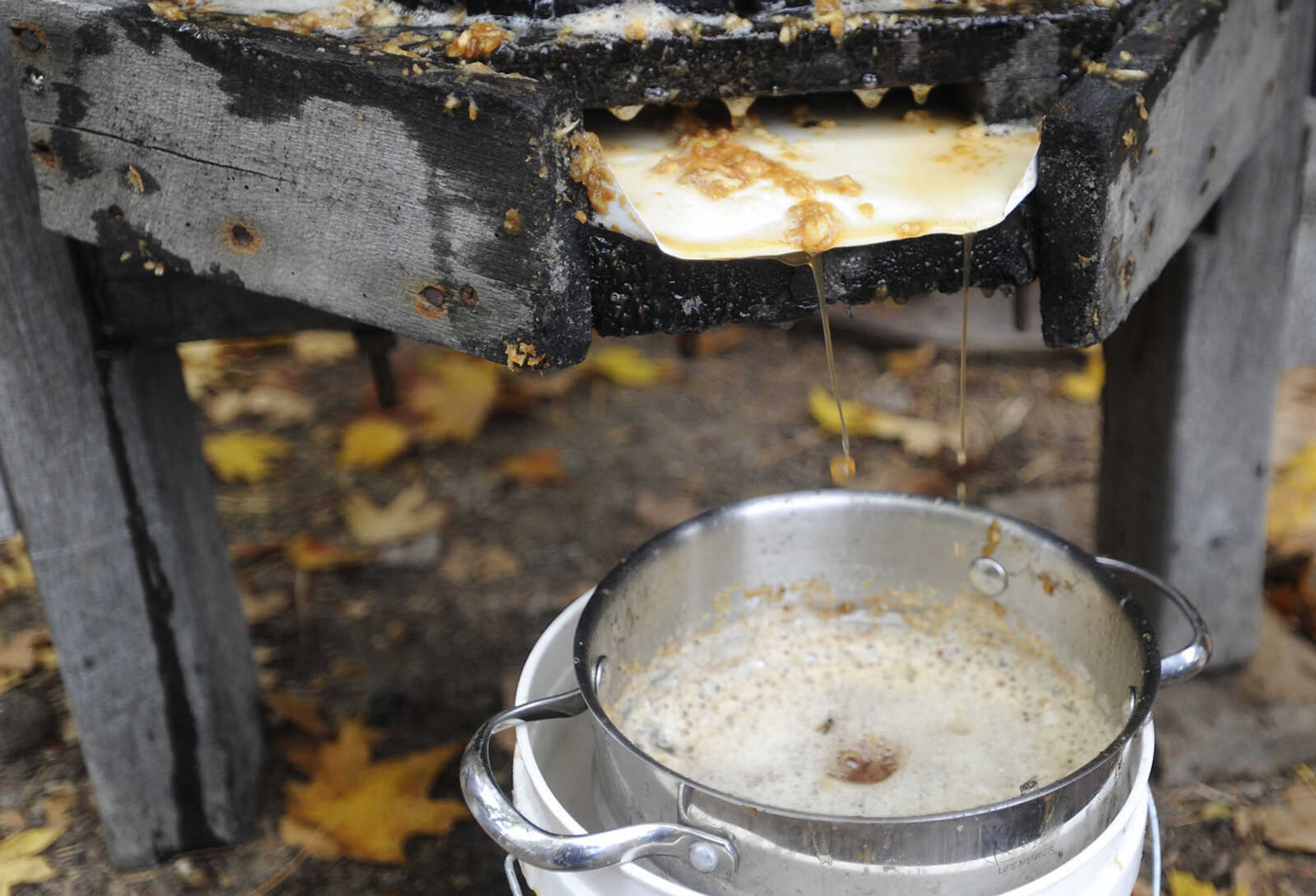 Apple juice streams into a container as Richard Moldenhauer operates a hand-cranked apple press as he makes apple cider at the Saxon Lutheran Memorial's Fall Festival Saturday, October 13, in Frohna. The annual festival celebrates the heritage of the area's 19th century German immigrants.