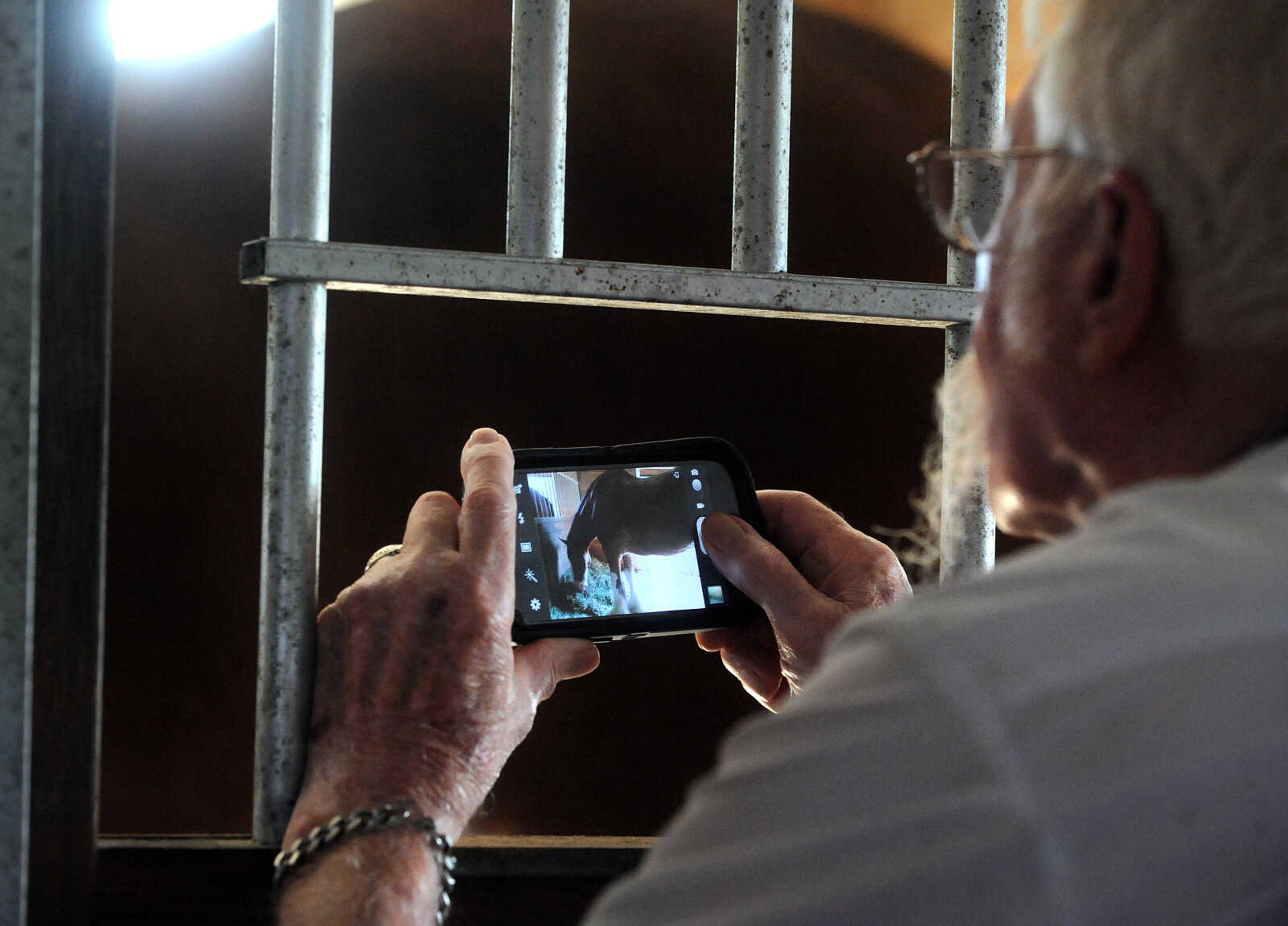 LAURA SIMON ~ lsimon@semissourian.com

"The Gambler" takes a photo of a Budweiser Clydesdales during their appearance at The Hope Theraputic Horsemanship Center in Perryville, Missouri, Friday, June 20, 2014.