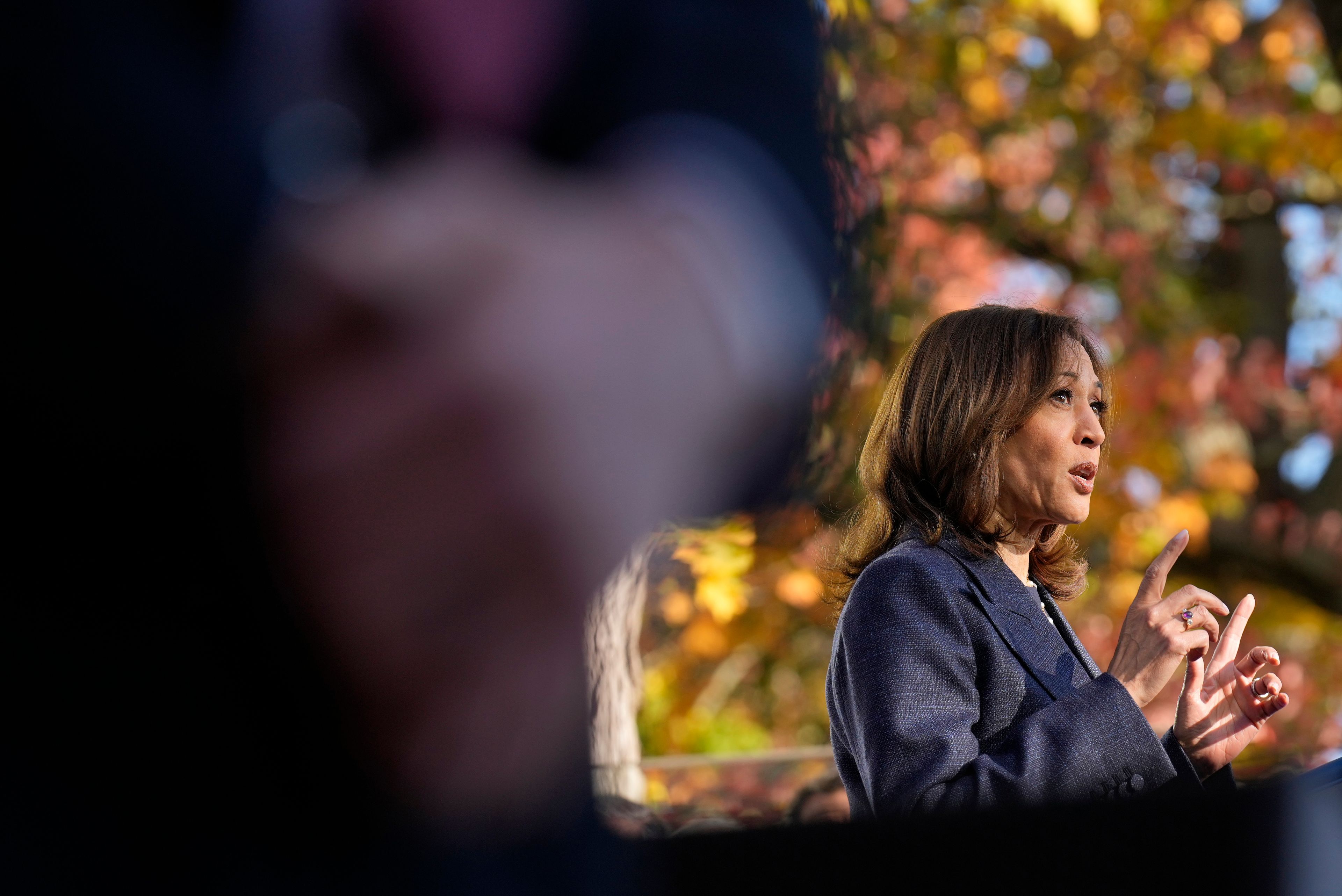 Democratic presidential nominee Vice President Kamala Harris speaks during a campaign event at Washington Crossing Historic Park, Wednesday, Oct. 16, 2024, in Washington Crossing, Pa. (AP Photo/Jacquelyn Martin)