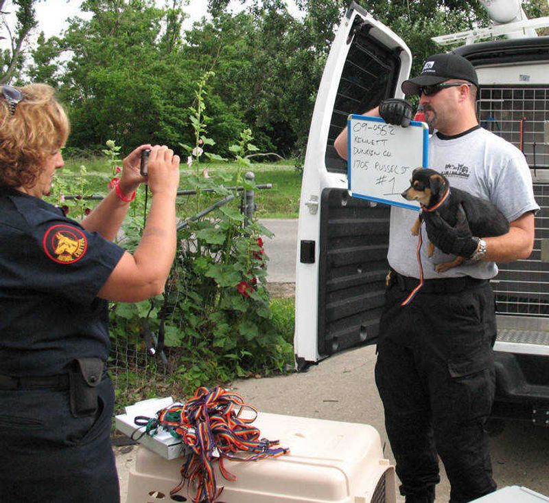 Humane Society investigates report of animal neglect in