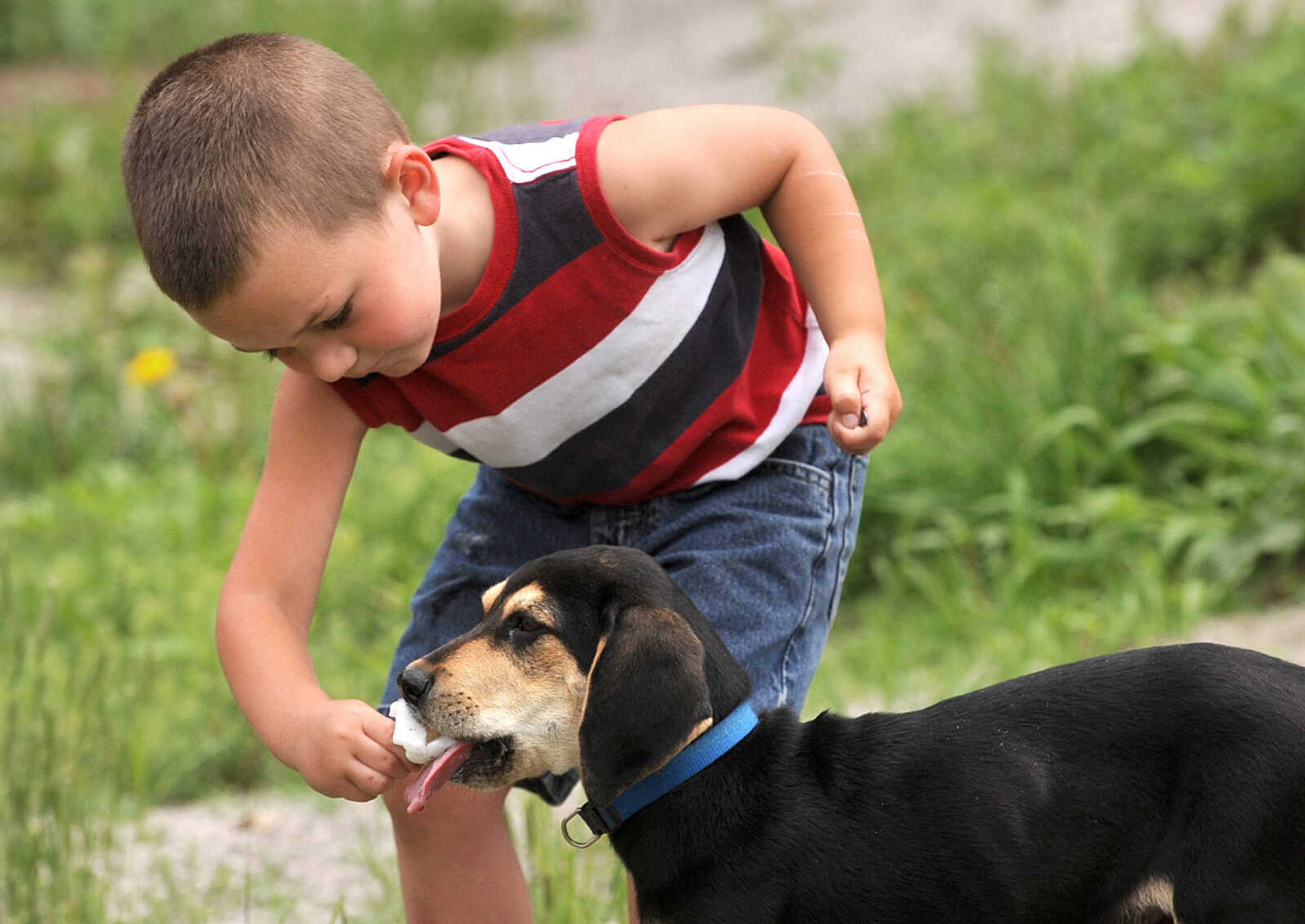 LAURA SIMON ~ lsimon@semissourian.com

Kyle Evans feeds the remains of his popsicle to Loxley the puppy in Dutchtown, Mo., Monday, June 3, 2013, as floodwater from the Mississippi River approaches on the small Southeast Missouri town.