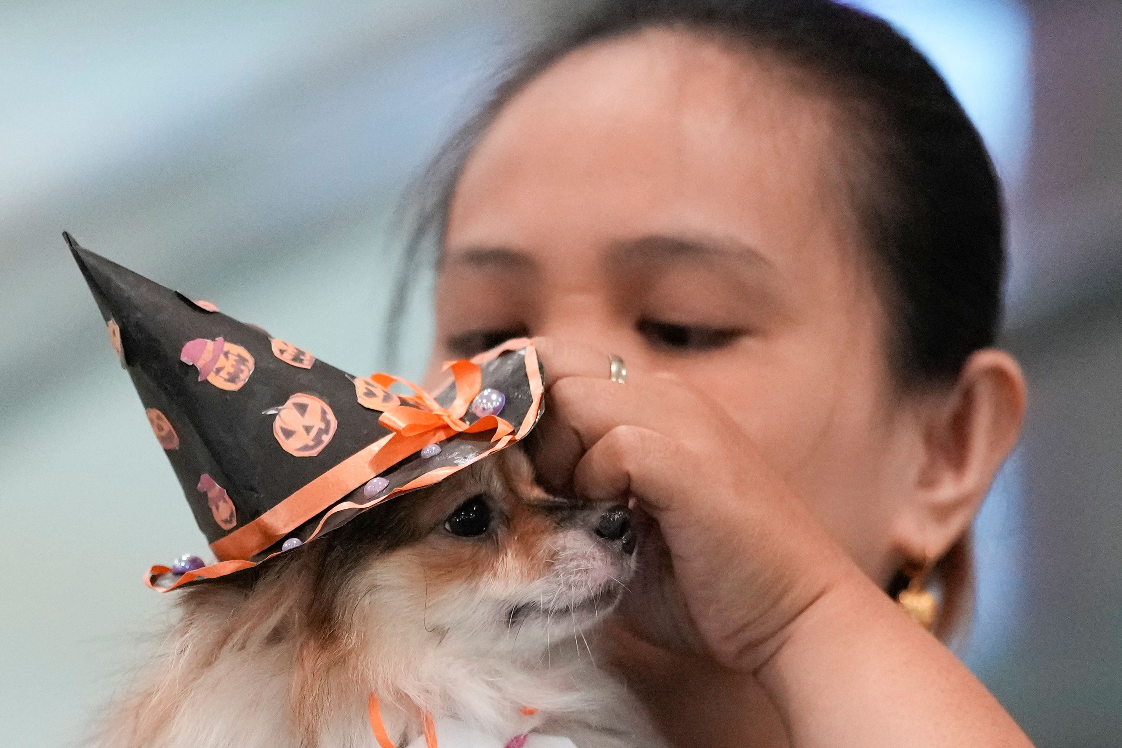 A pet owner fixes the costume of her dog during a Halloween pet party at a mall in Valenzuela city, Philippines on Saturday, Oct. 19, 2024. (AP Photo/Aaron Favila)