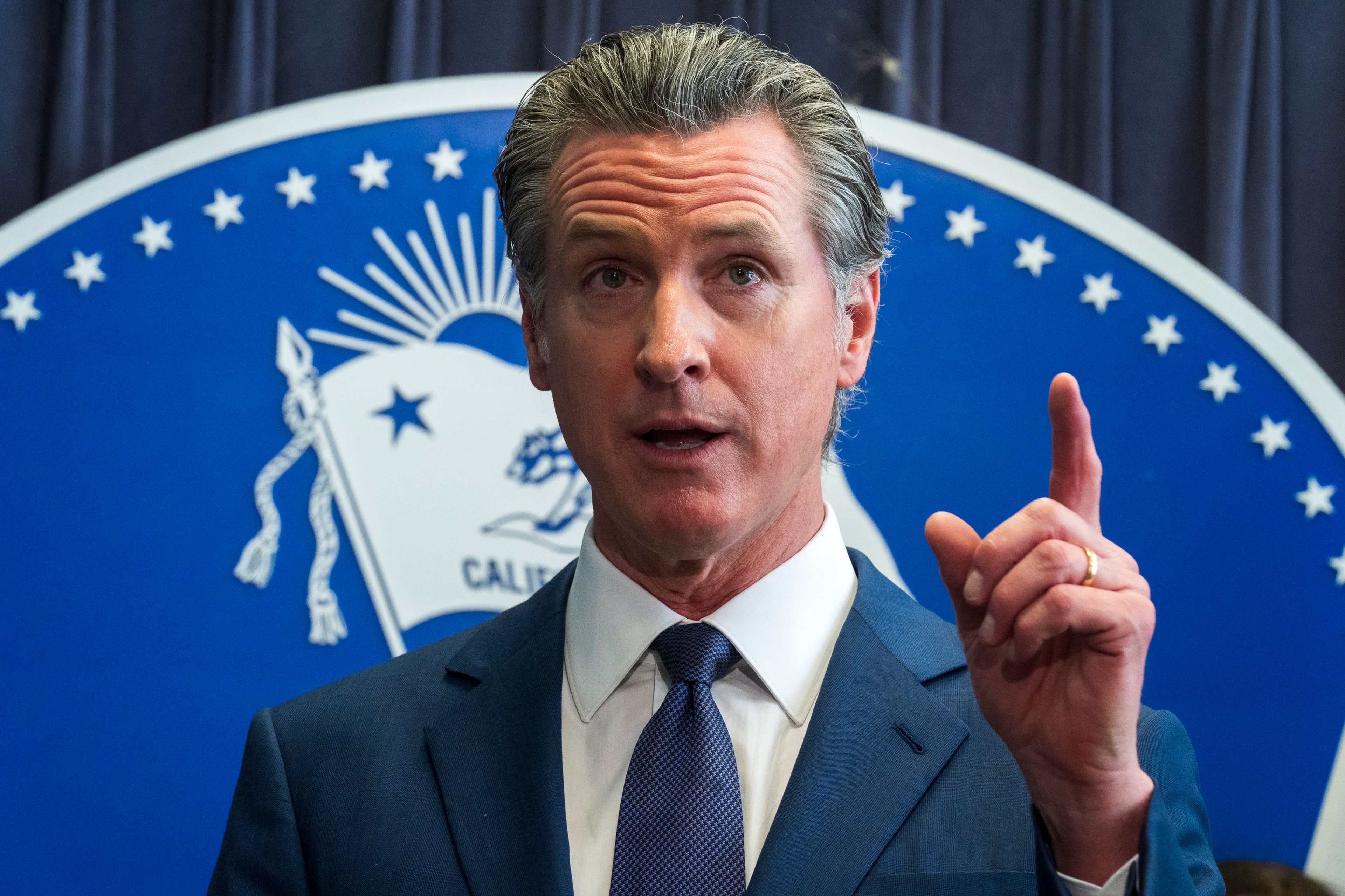 FILE - California Gov. Gavin Newsom speaks during a news conference Thursday, March 21, 2024, in Los Angeles. (AP Photo/Damian Dovarganes, File)