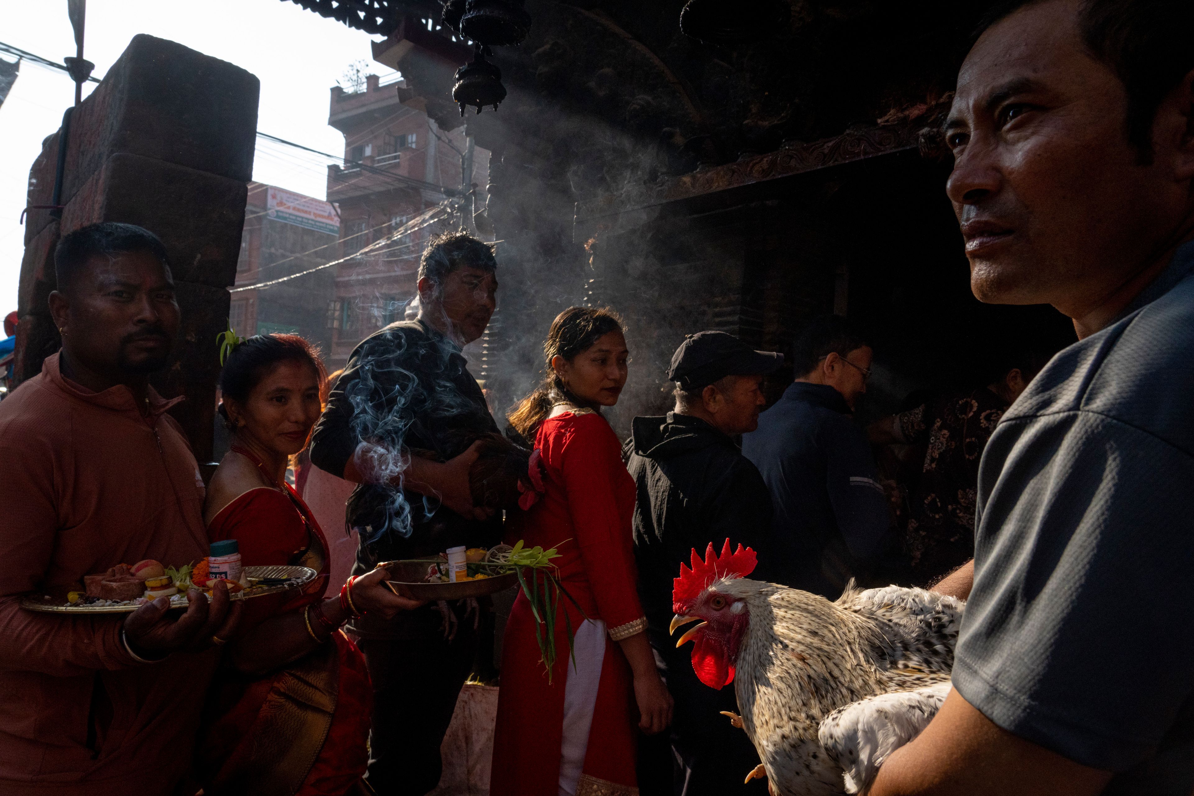 Devotees wait with sacrificial chickens as they prepare to enter Balkumari Temple during Dashain festival in Thimi, Bhaktapur, Nepal, Friday, Oct. 11, 2024. The festival commemorates the slaying of a demon king by Hindu goddess Durga, marking the victory of good over evil. (AP Photo/Niranjan Shrestha)