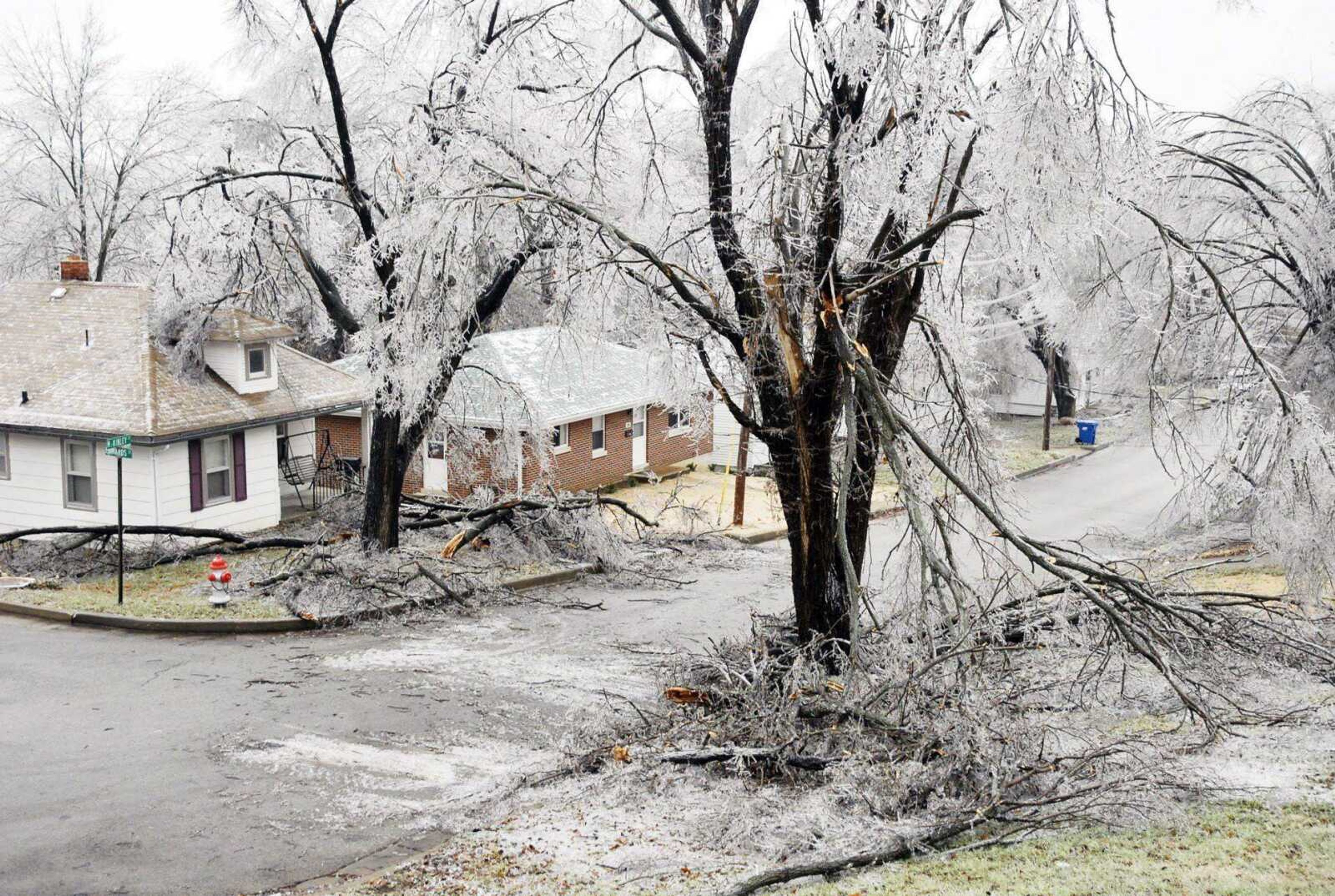 Ice covered everything Sunday in Jefferson City, Mo., as a steady rain and drizzle froze to the trees, power lines and every other exposed surface. (Julie Smith ~ News-Tribune)