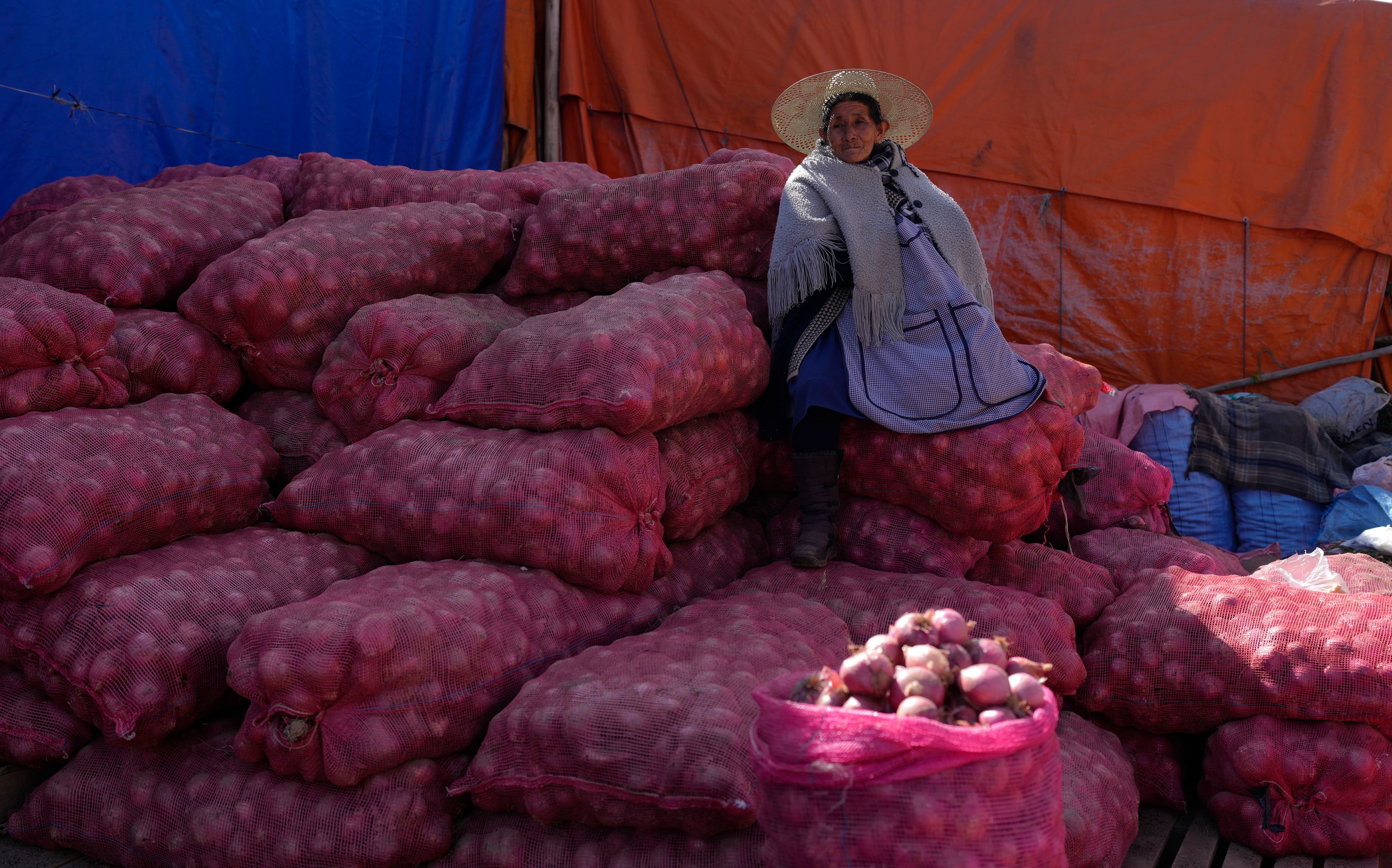 FILE - Onion vendor Paulina Siles waits for customers at a street market in El Alto, Bolivia, Oct. 4, 2024. (AP Photo/Juan Karita, File)